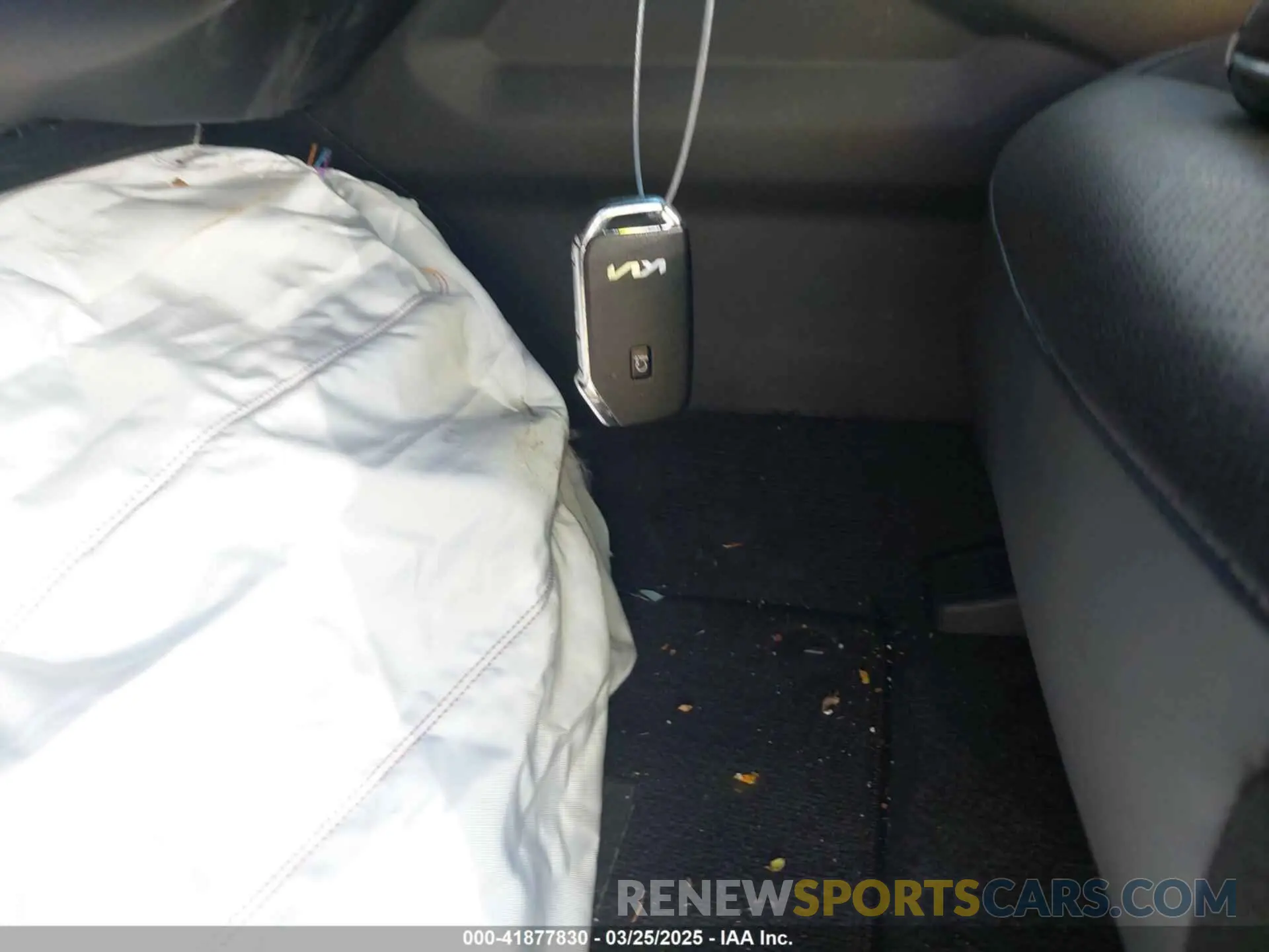 11 Photograph of a damaged car 5XYRK4LF3MG034586 KIA SORENTO 2021