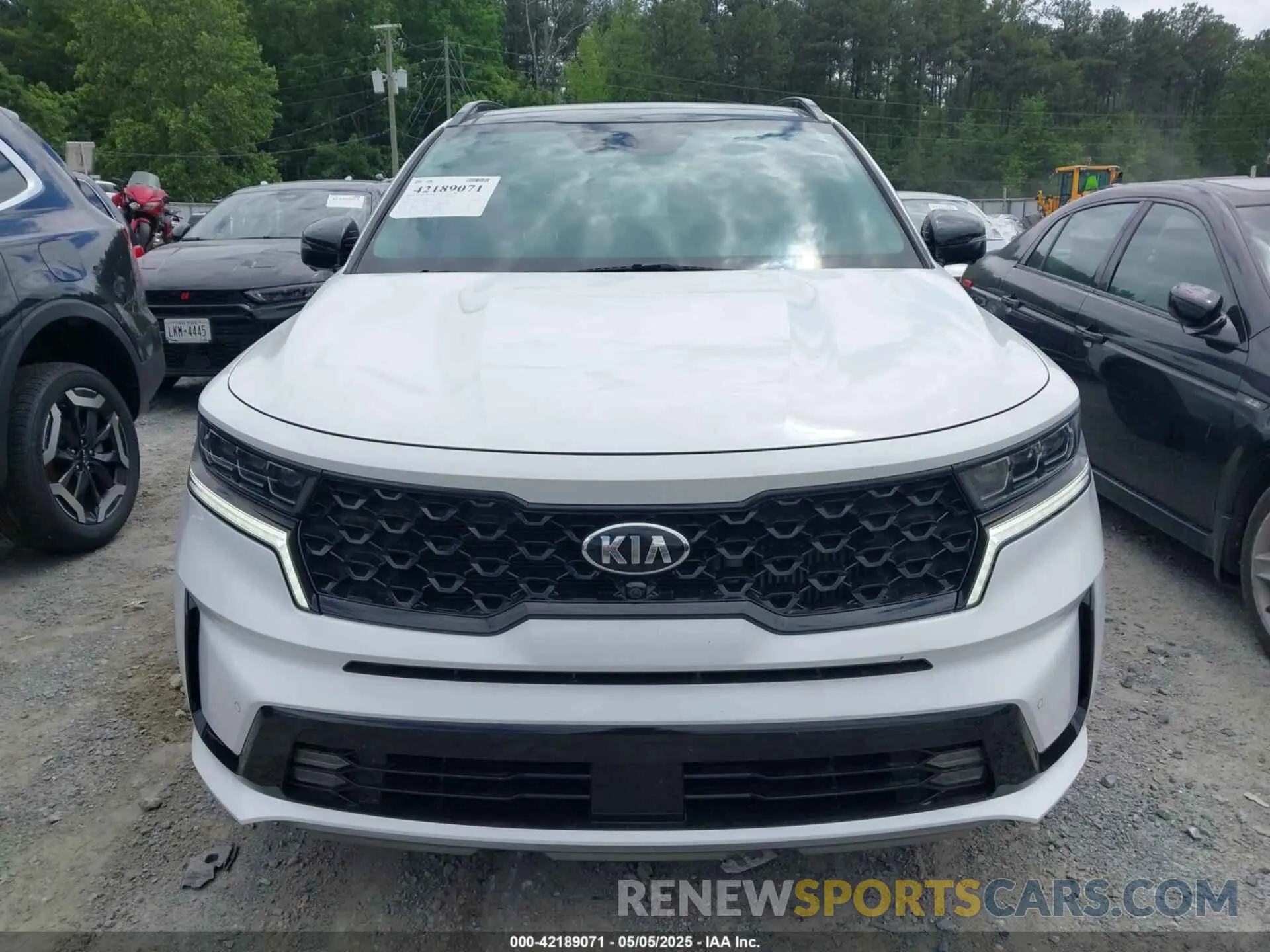 12 Photograph of a damaged car 5XYRK4LF9MG068631 KIA SORENTO 2021