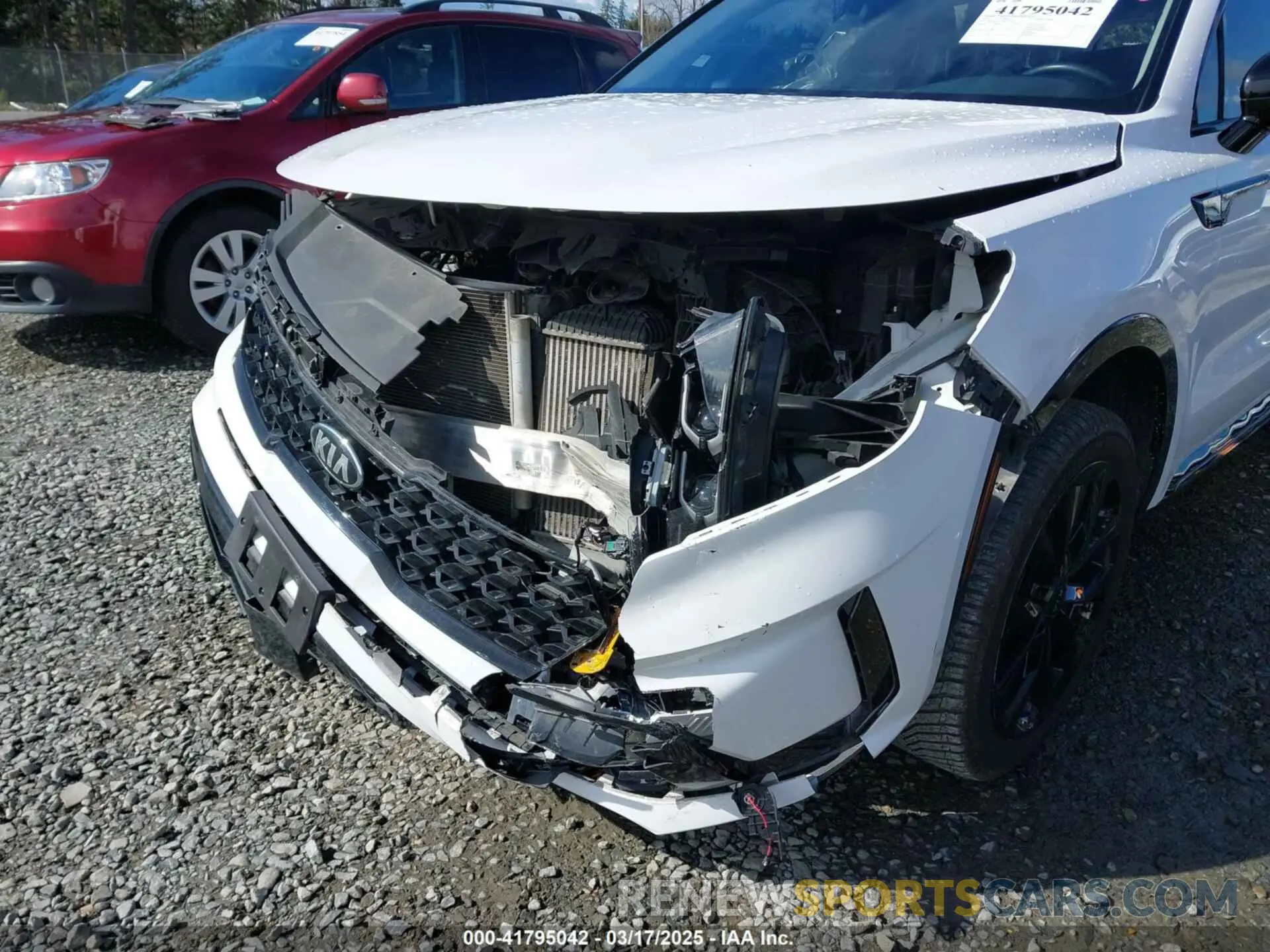 6 Photograph of a damaged car 5XYRKDLF5MG042916 KIA SORENTO 2021