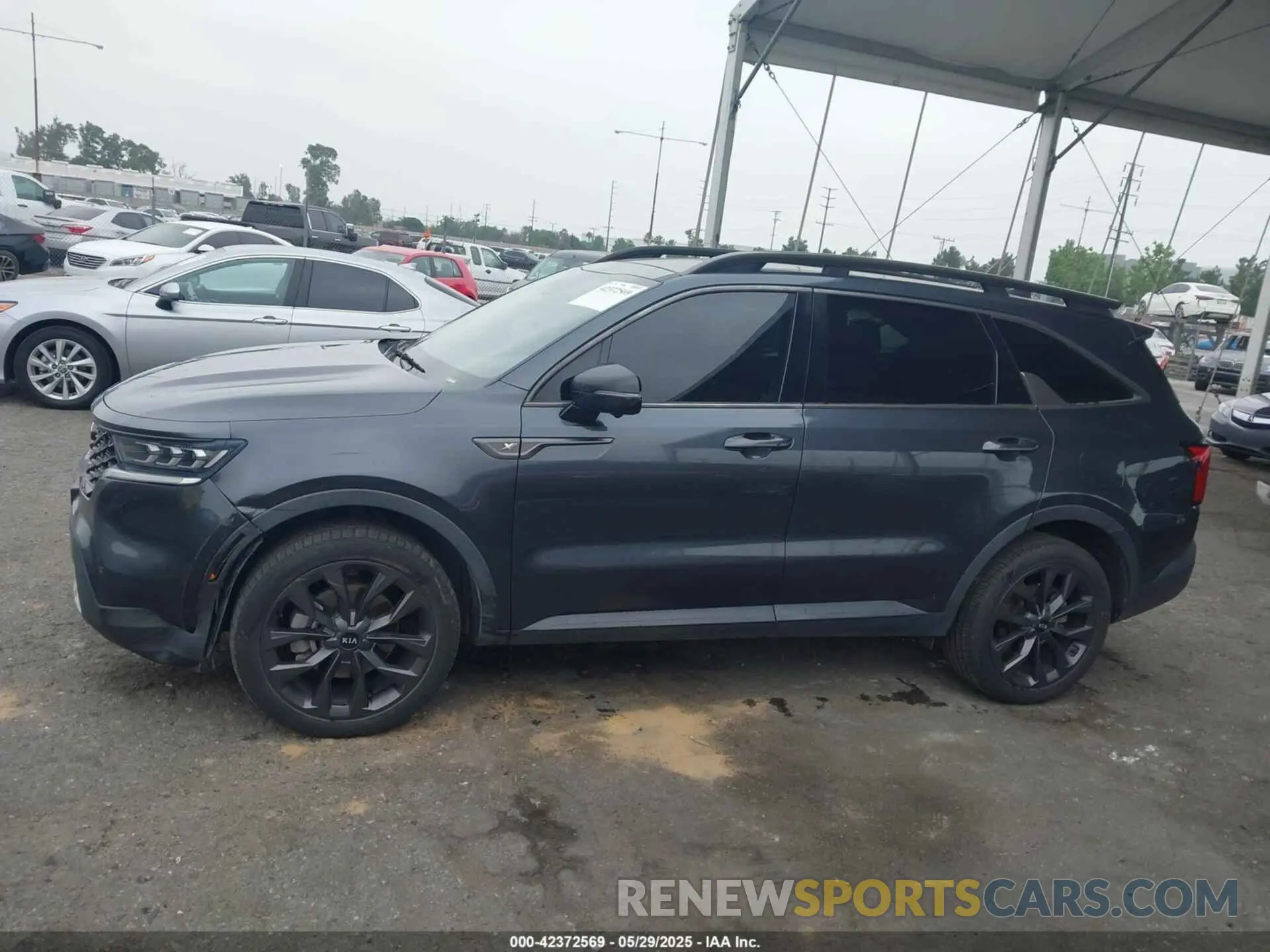 14 Photograph of a damaged car 5XYRKDLF7MG016494 KIA SORENTO 2021