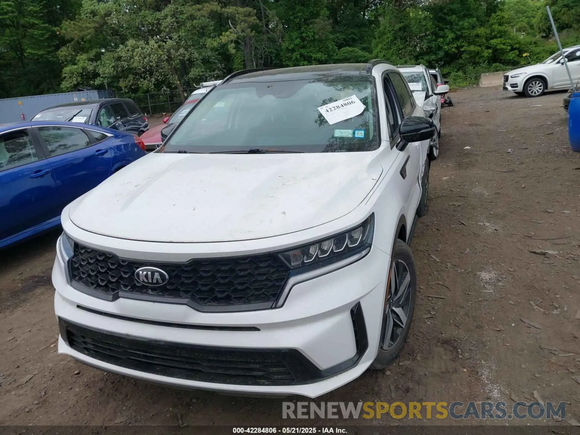 12 Photograph of a damaged car 5XYRL4LCXMG009736 KIA SORENTO 2021