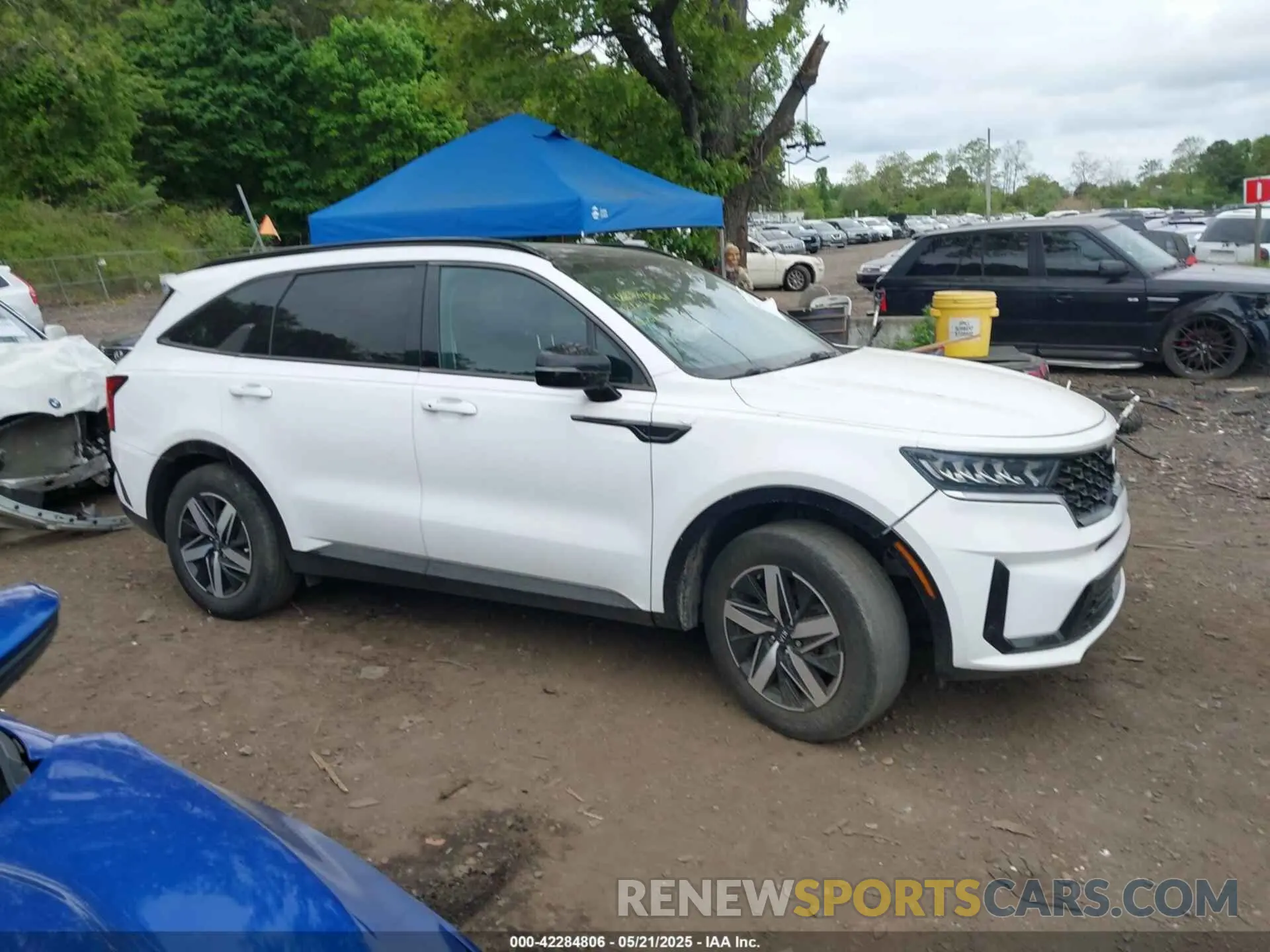 13 Photograph of a damaged car 5XYRL4LCXMG009736 KIA SORENTO 2021