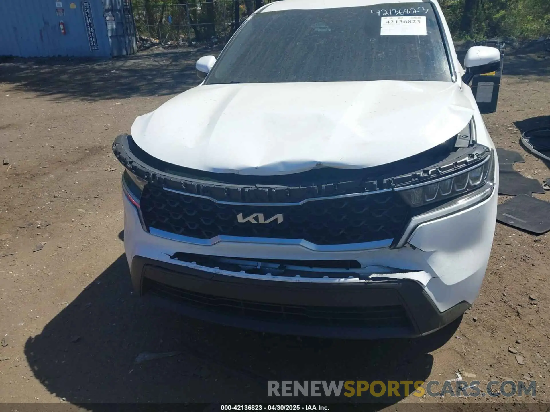6 Photograph of a damaged car 5XYRG4LC9NG088726 KIA SORENTO 2022