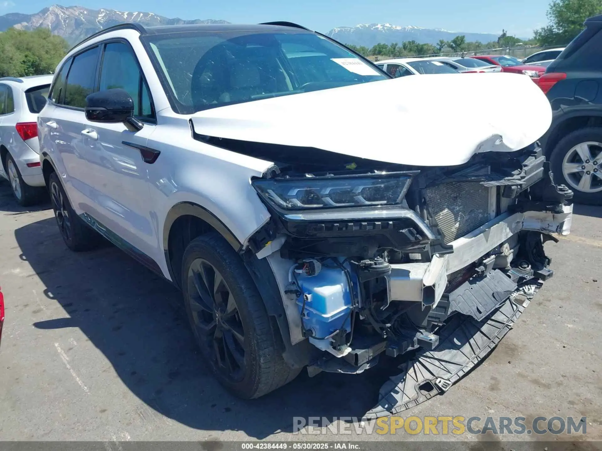 1 Photograph of a damaged car 5XYRKDLF5NG110214 KIA SORENTO 2022