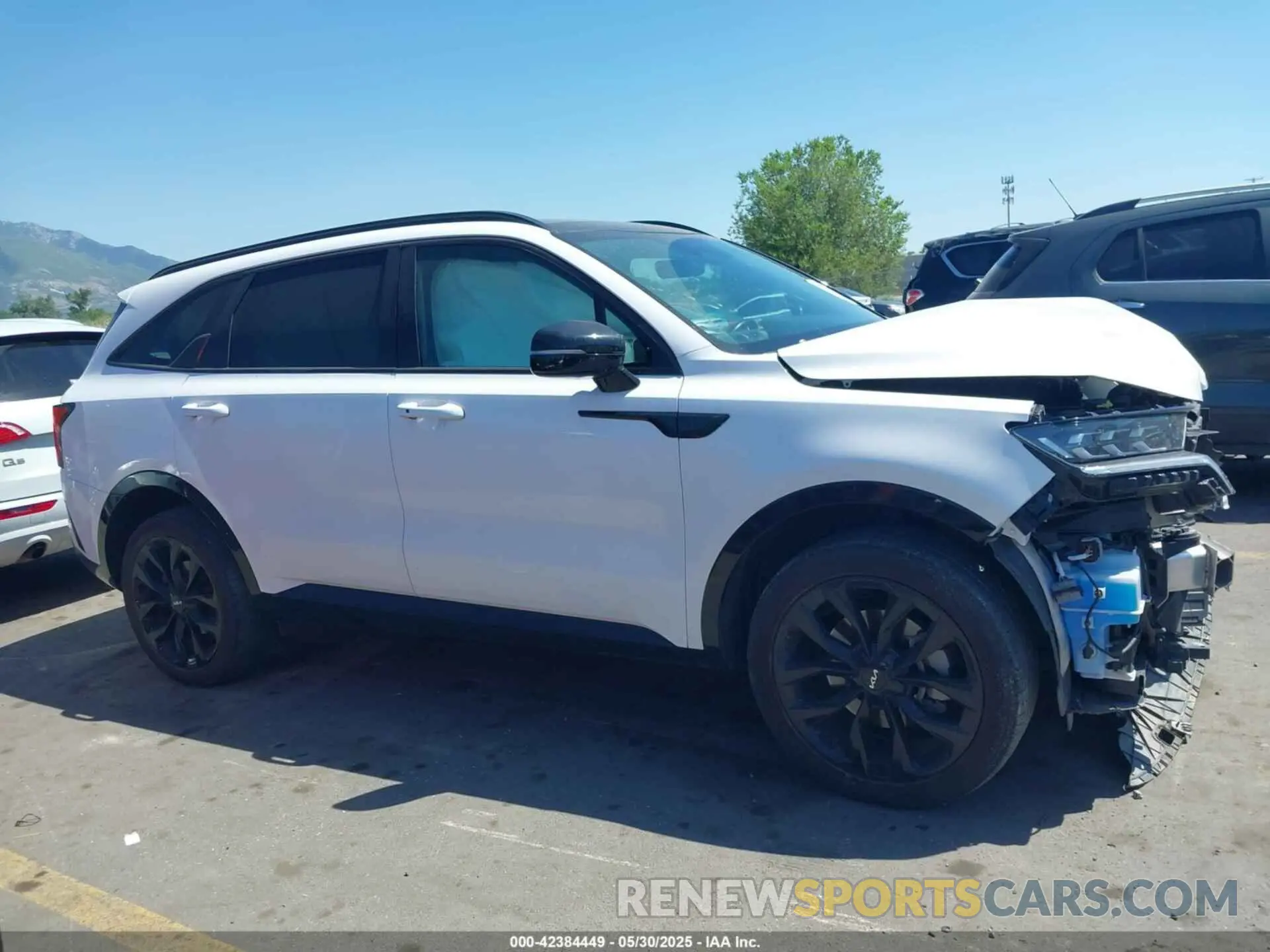 13 Photograph of a damaged car 5XYRKDLF5NG110214 KIA SORENTO 2022