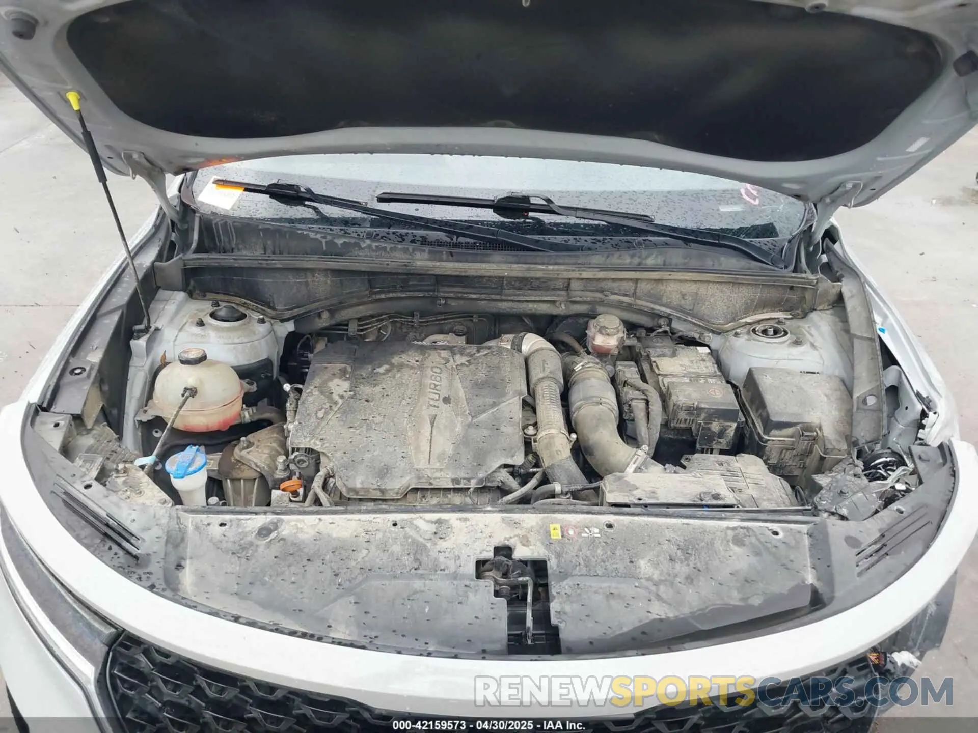 10 Photograph of a damaged car 5XYRKDLF9NG129963 KIA SORENTO 2022