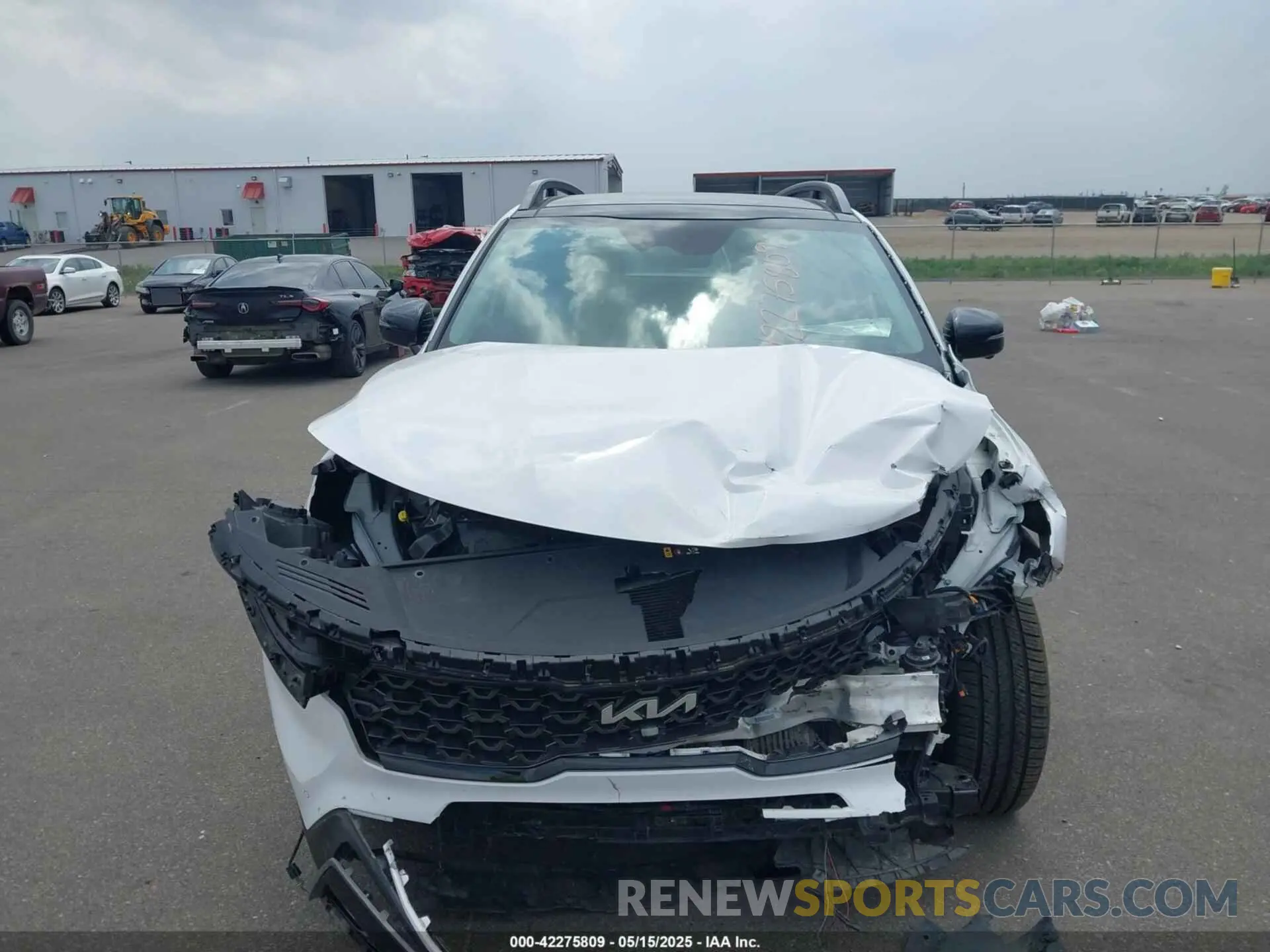 13 Photograph of a damaged car 5XYRKDLFXNG111374 KIA SORENTO 2022