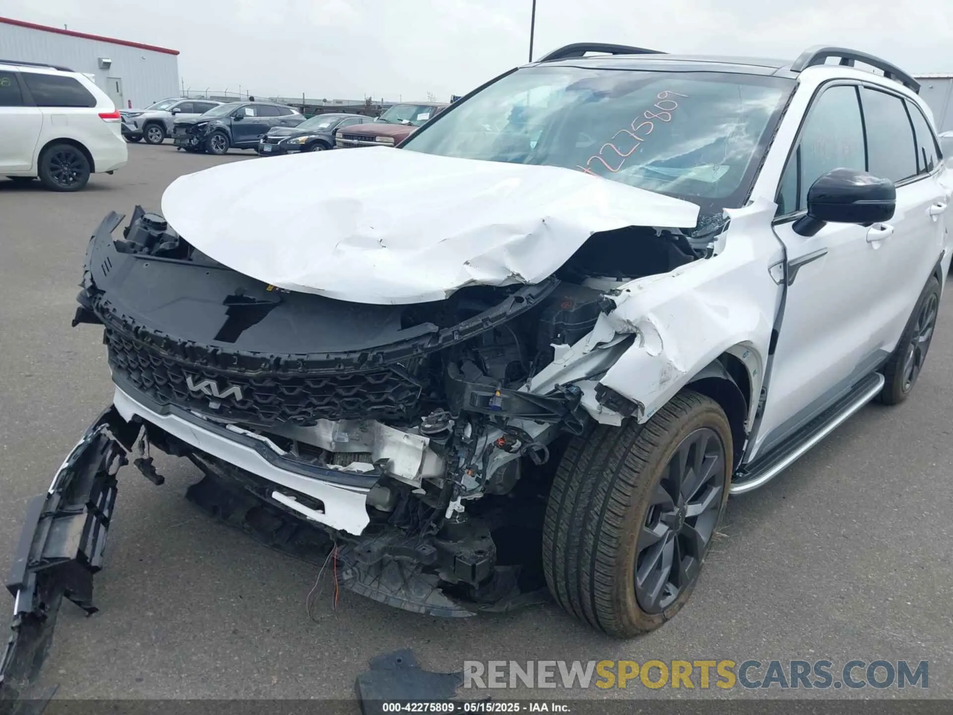 6 Photograph of a damaged car 5XYRKDLFXNG111374 KIA SORENTO 2022