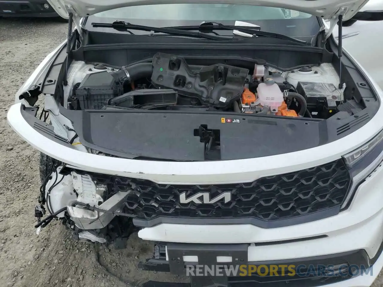 12 Photograph of a damaged car KNDRHDLG1N5096991 KIA SORENTO 2022