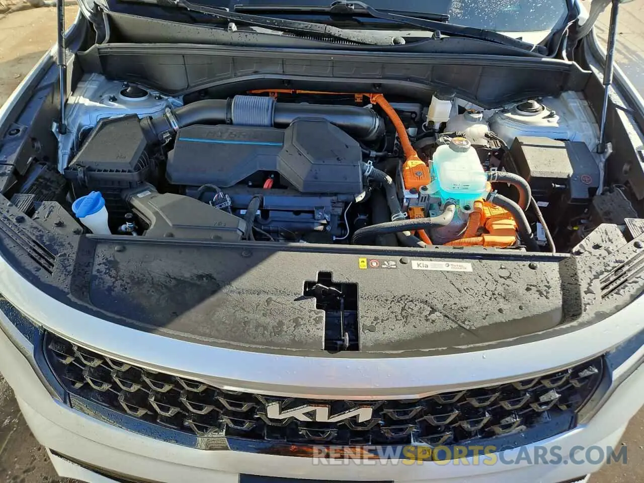 12 Photograph of a damaged car KNDRJDLH8N5077982 KIA SORENTO 2022