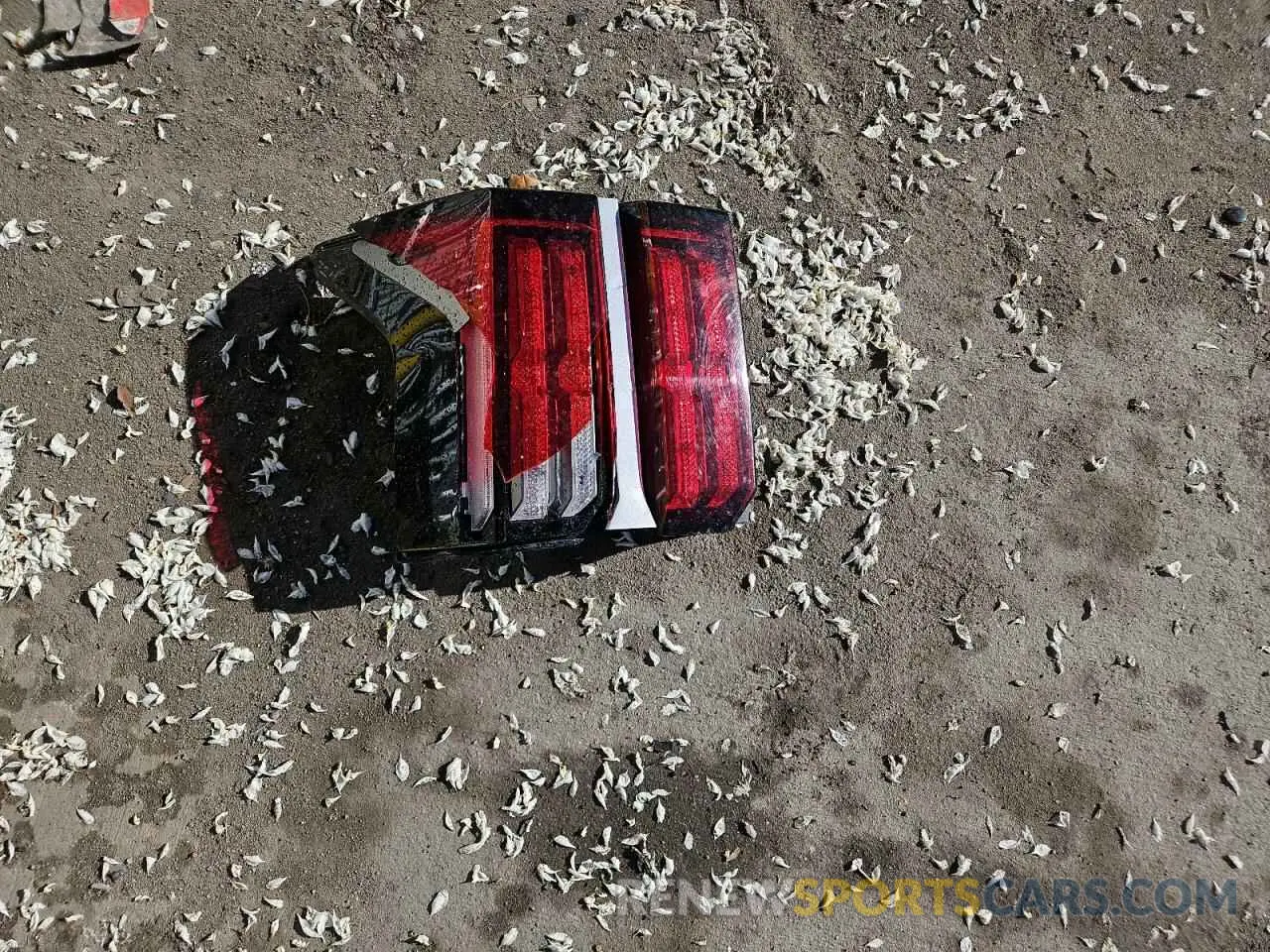 13 Photograph of a damaged car KNDRJDLH8N5077982 KIA SORENTO 2022