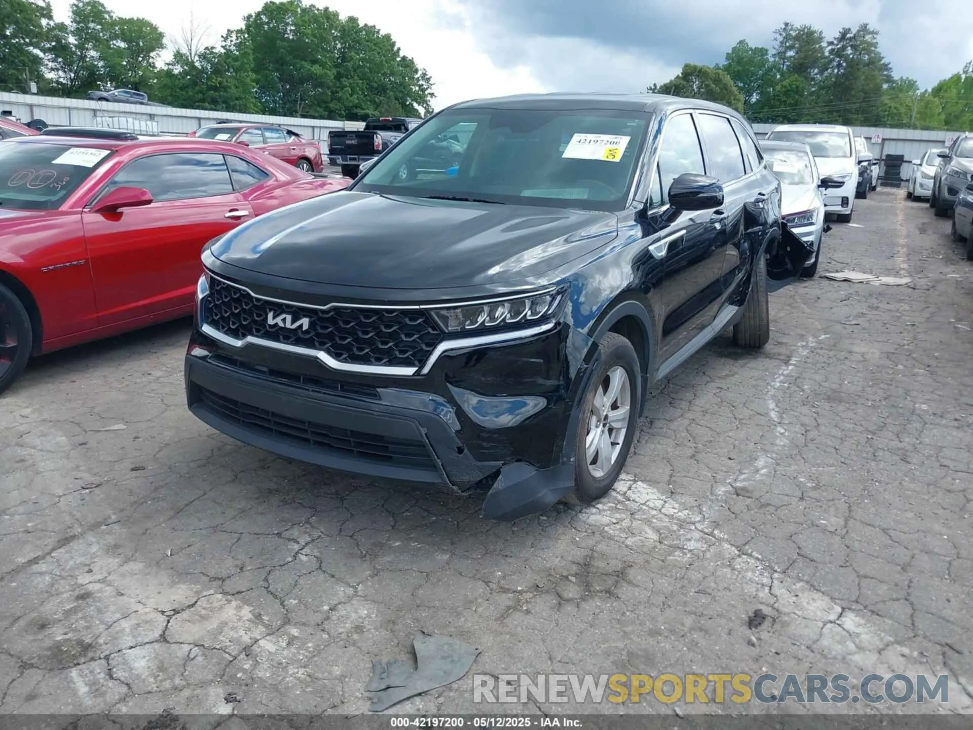 2 Photograph of a damaged car 5XYRG4LC1PG226455 KIA SORENTO 2023