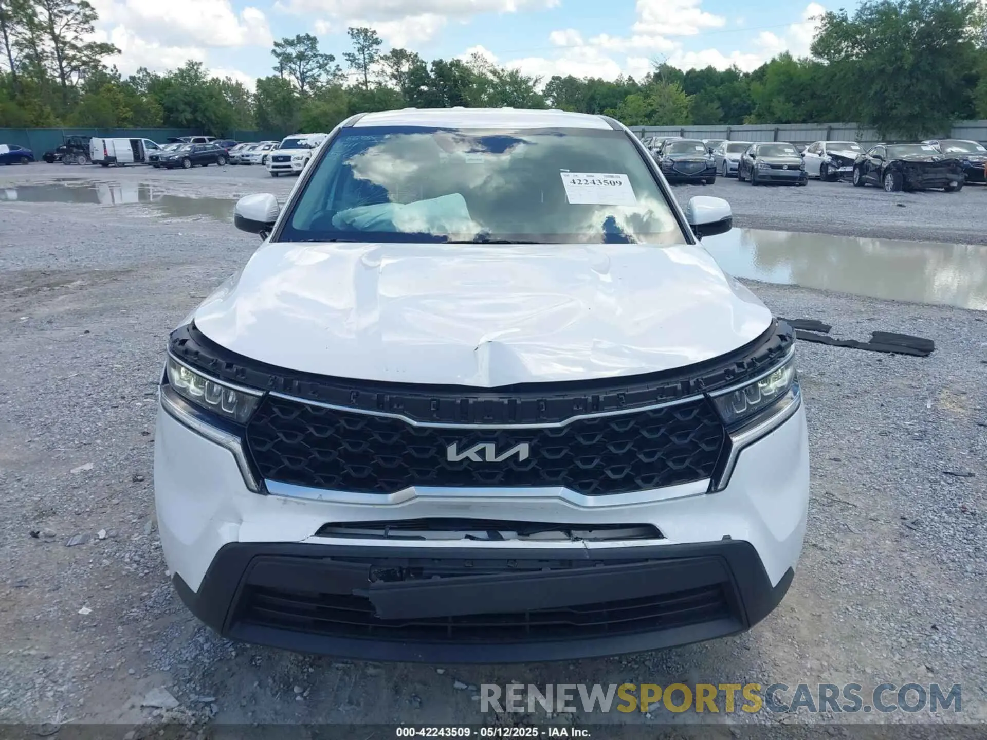 12 Photograph of a damaged car 5XYRG4LC7PG208106 KIA SORENTO 2023