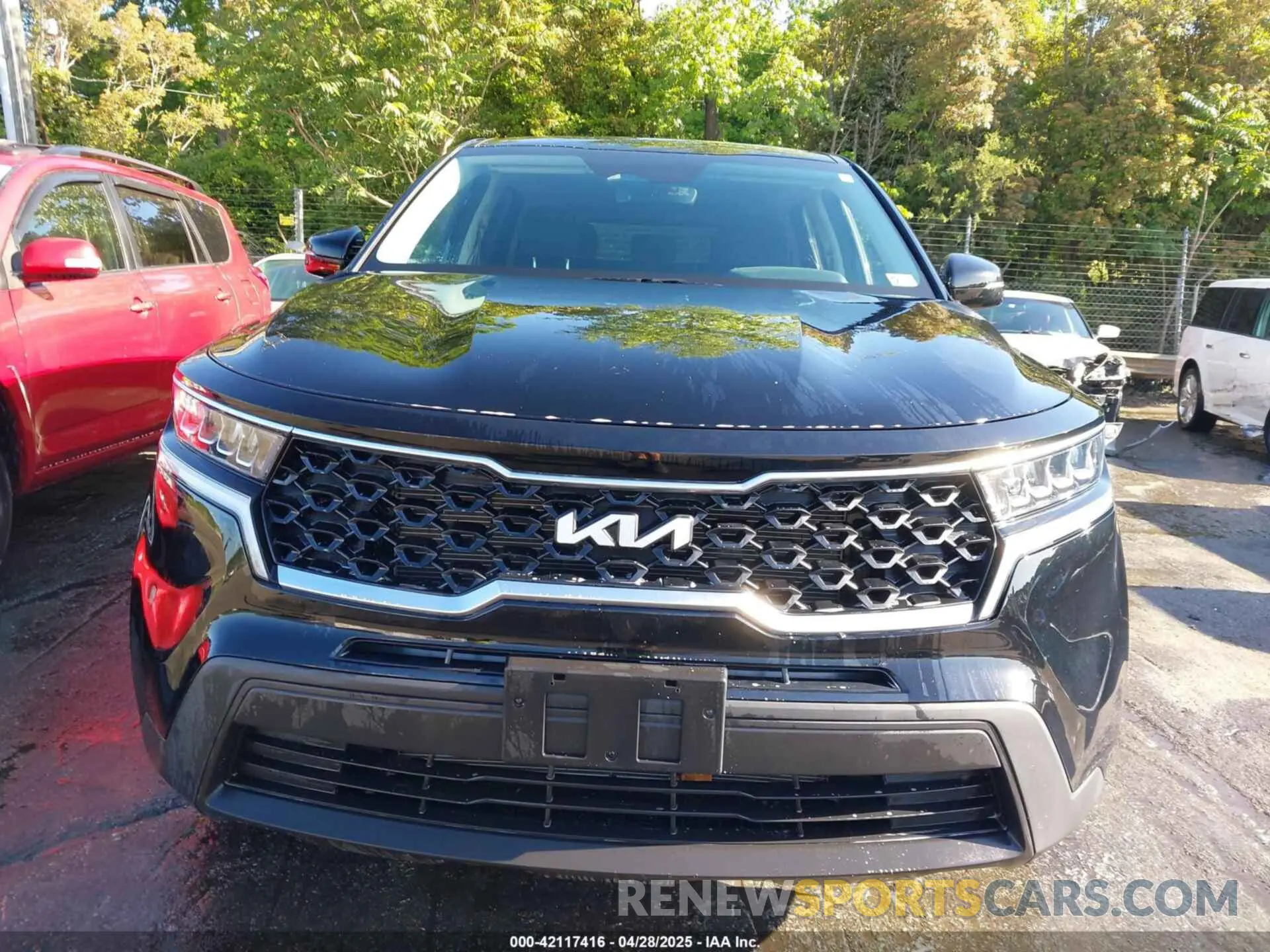 12 Photograph of a damaged car 5XYRGDLC3PG209429 KIA SORENTO 2023