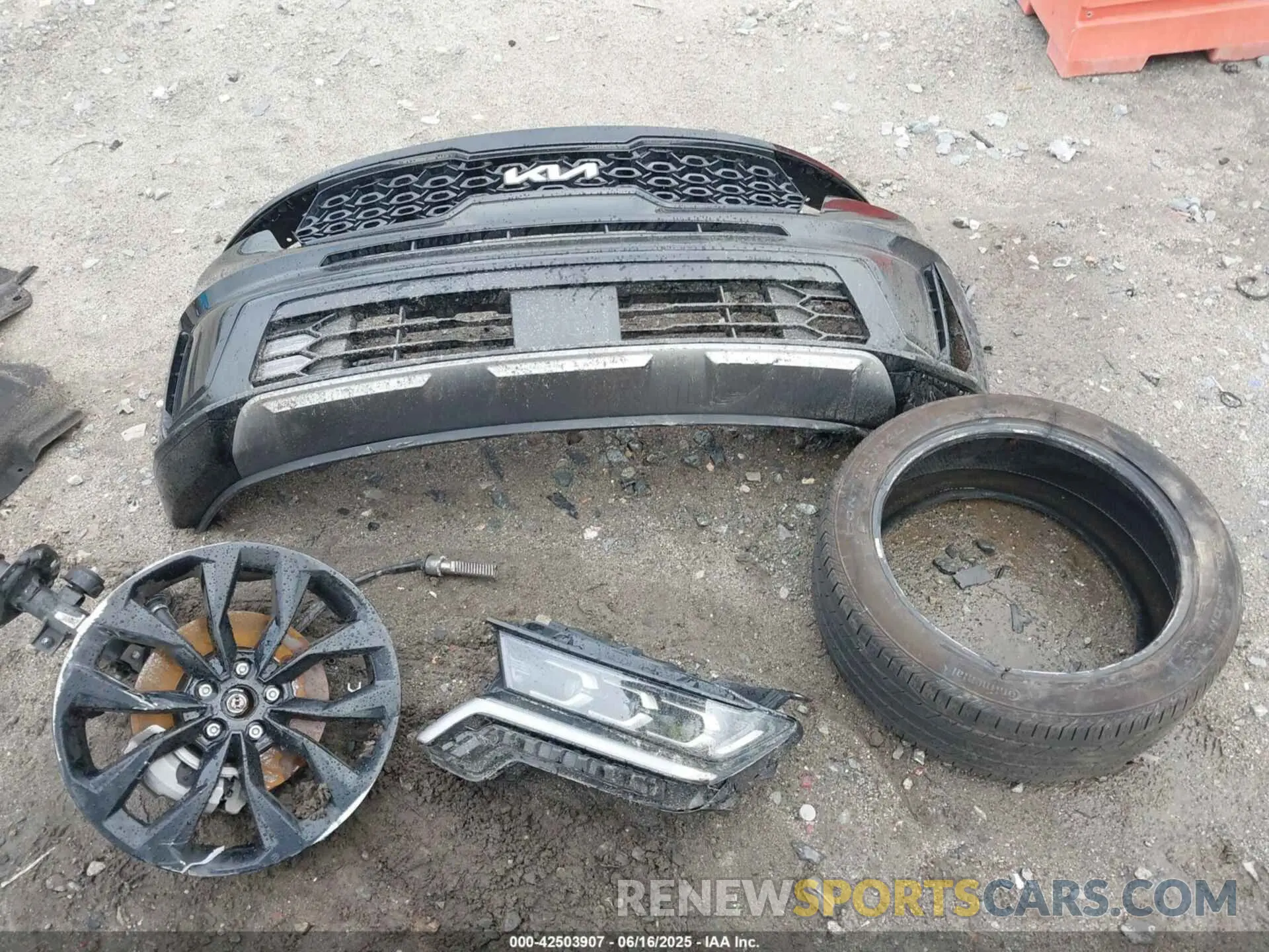 12 Photograph of a damaged car 5XYRKDLF3PG219032 KIA SORENTO 2023