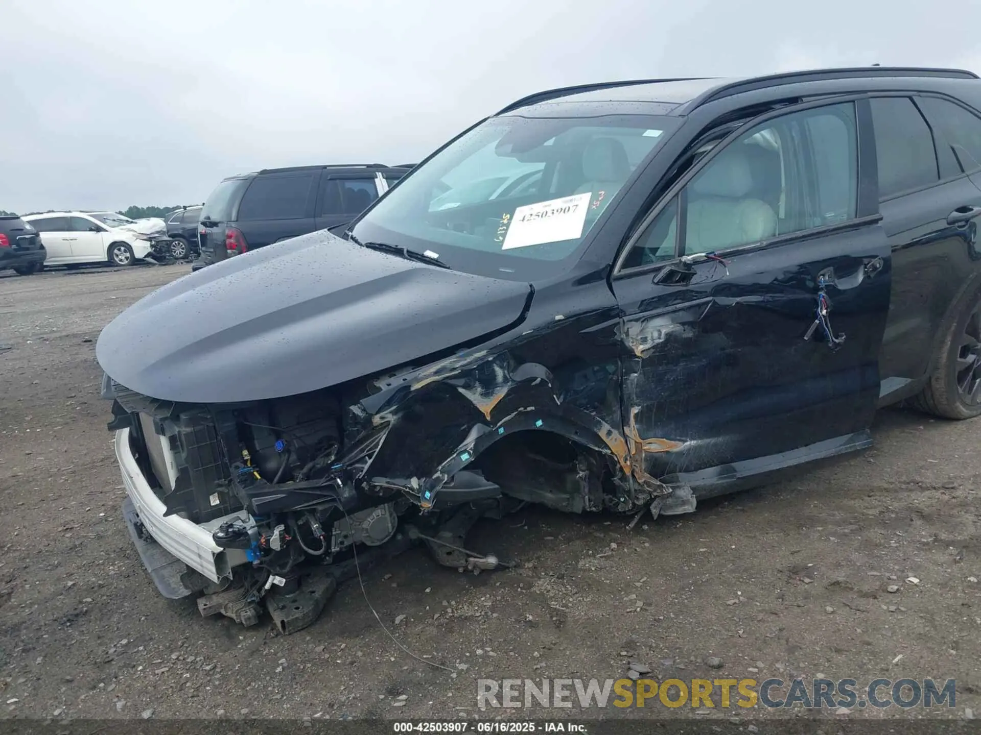 6 Photograph of a damaged car 5XYRKDLF3PG219032 KIA SORENTO 2023