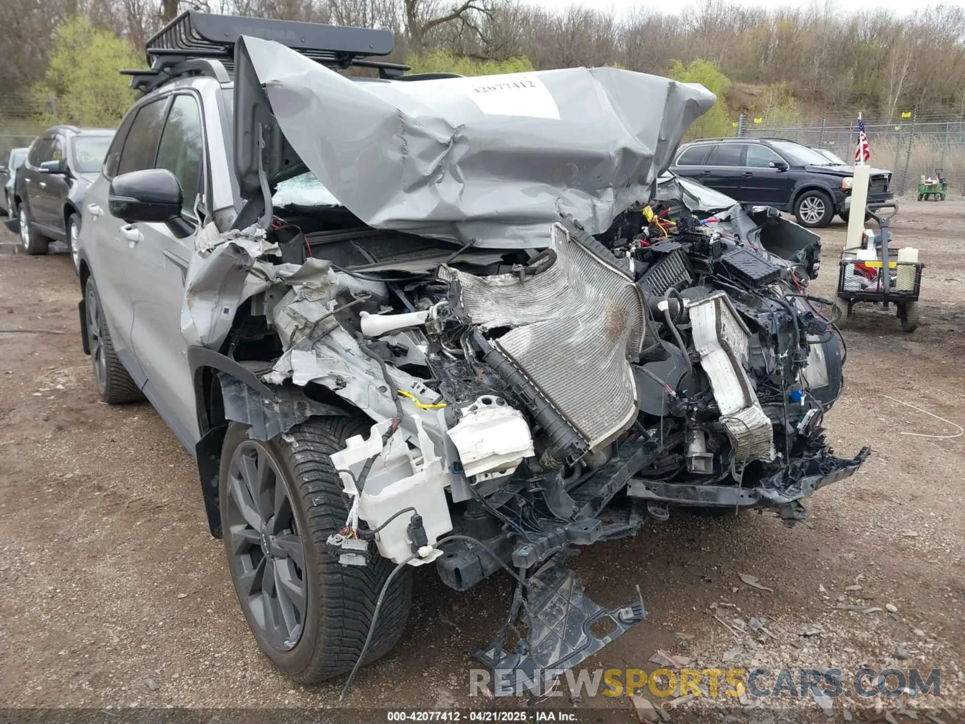 12 Photograph of a damaged car 5XYRKDLF9PG164070 KIA SORENTO 2023