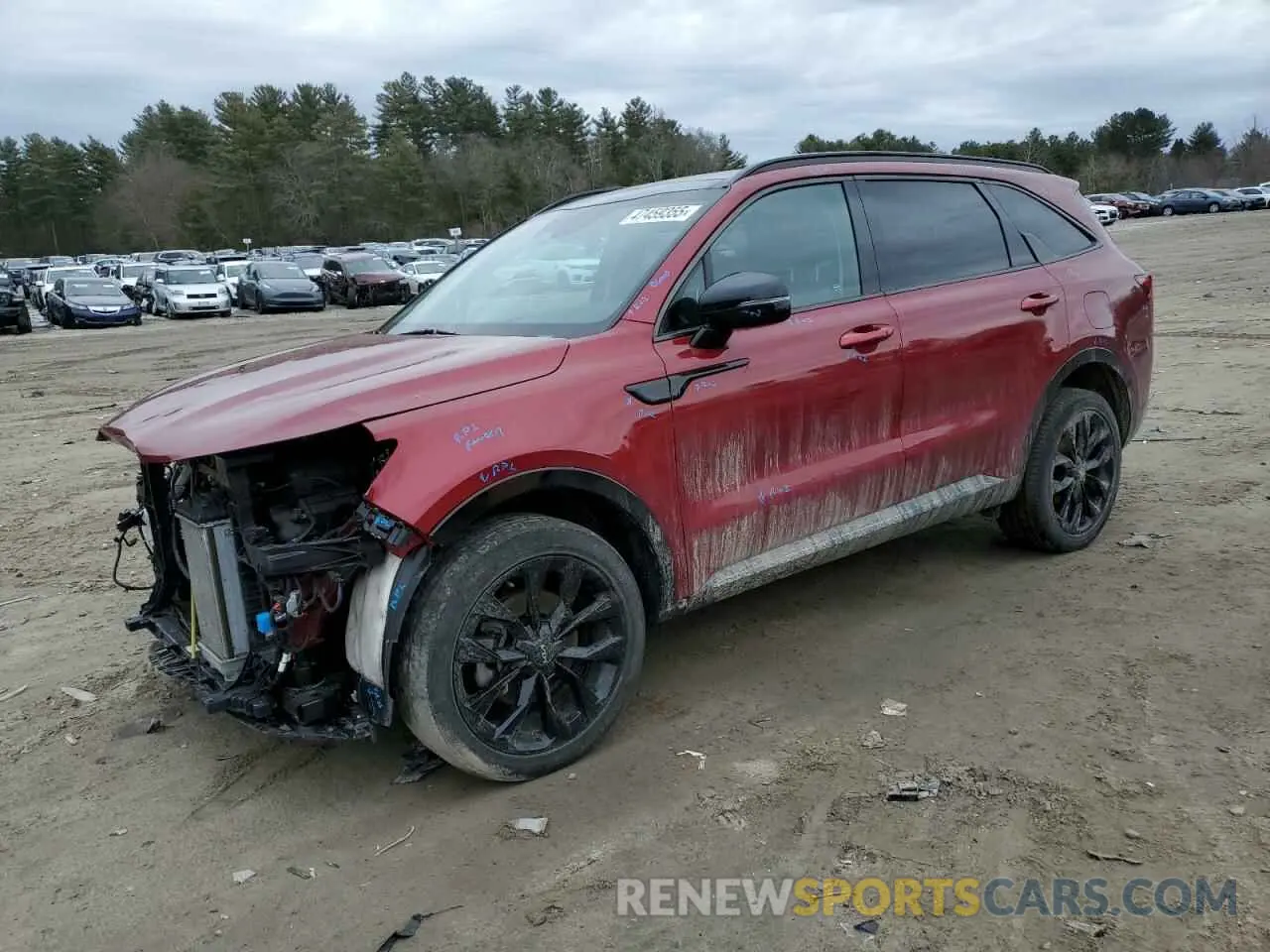 1 Photograph of a damaged car 5XYRKDLF9PG183038 KIA SORENTO 2023