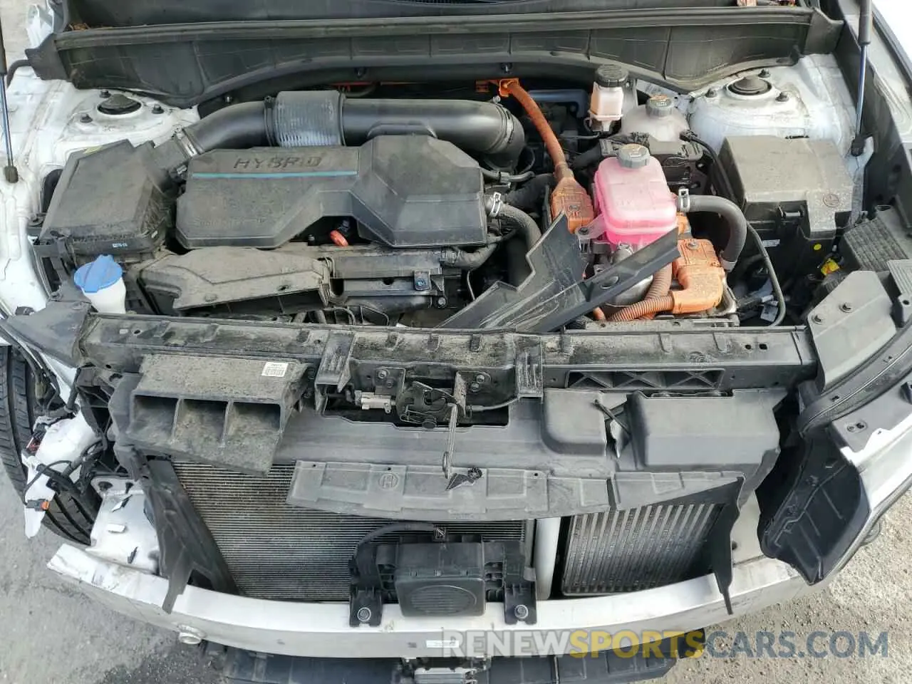 12 Photograph of a damaged car KNDRHDLG0P5161512 KIA SORENTO 2023