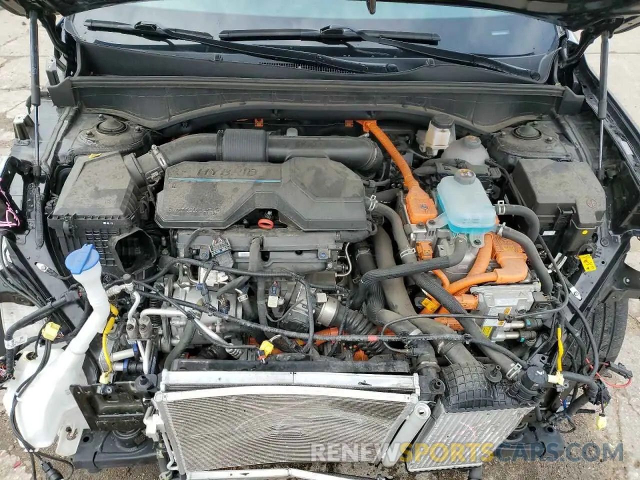 12 Photograph of a damaged car KNDRMDLHXP5213992 KIA SORENTO 2023