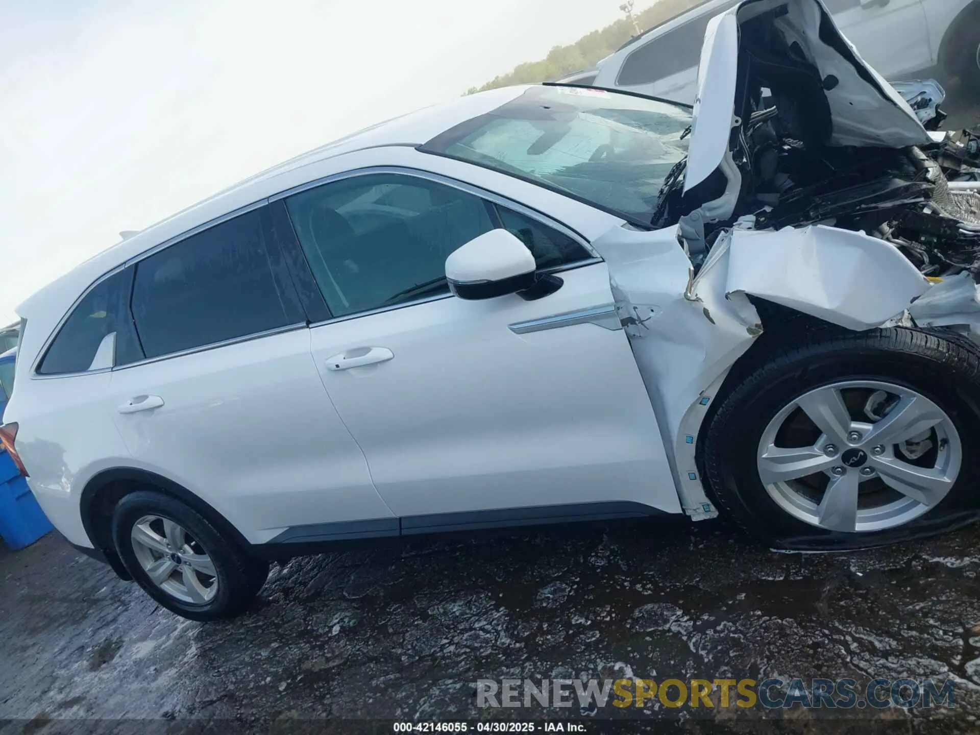 12 Photograph of a damaged car 5XYRG4JC9RG257782 KIA SORENTO 2024