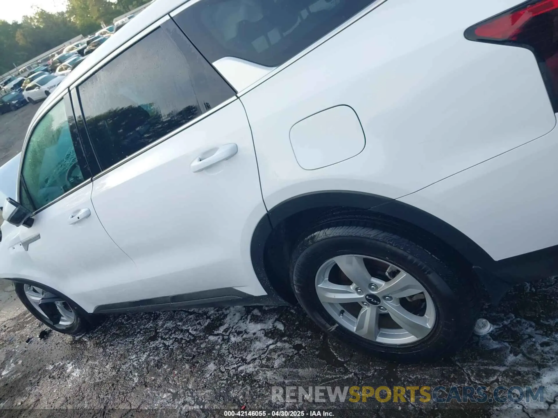 13 Photograph of a damaged car 5XYRG4JC9RG257782 KIA SORENTO 2024