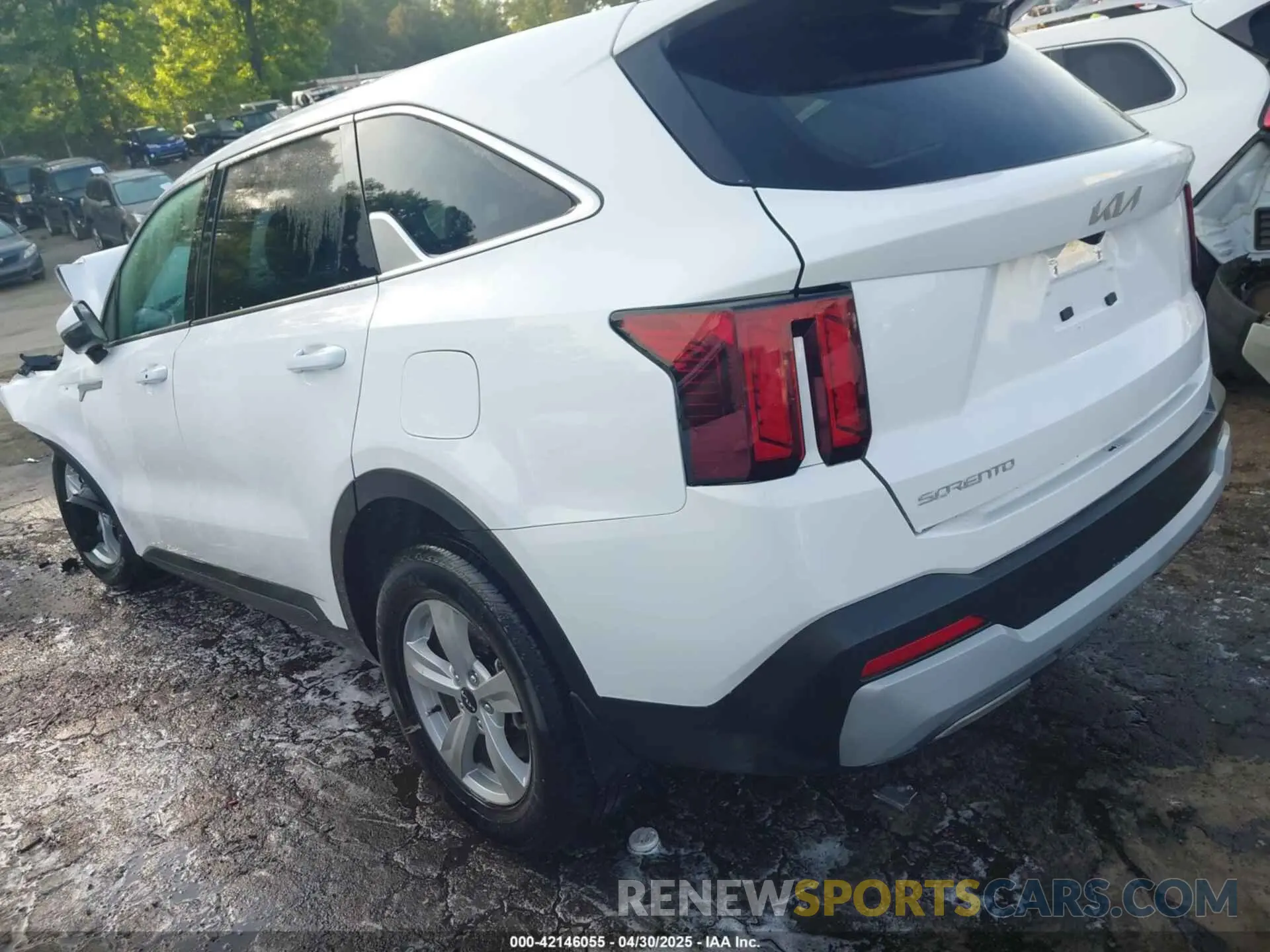 3 Photograph of a damaged car 5XYRG4JC9RG257782 KIA SORENTO 2024