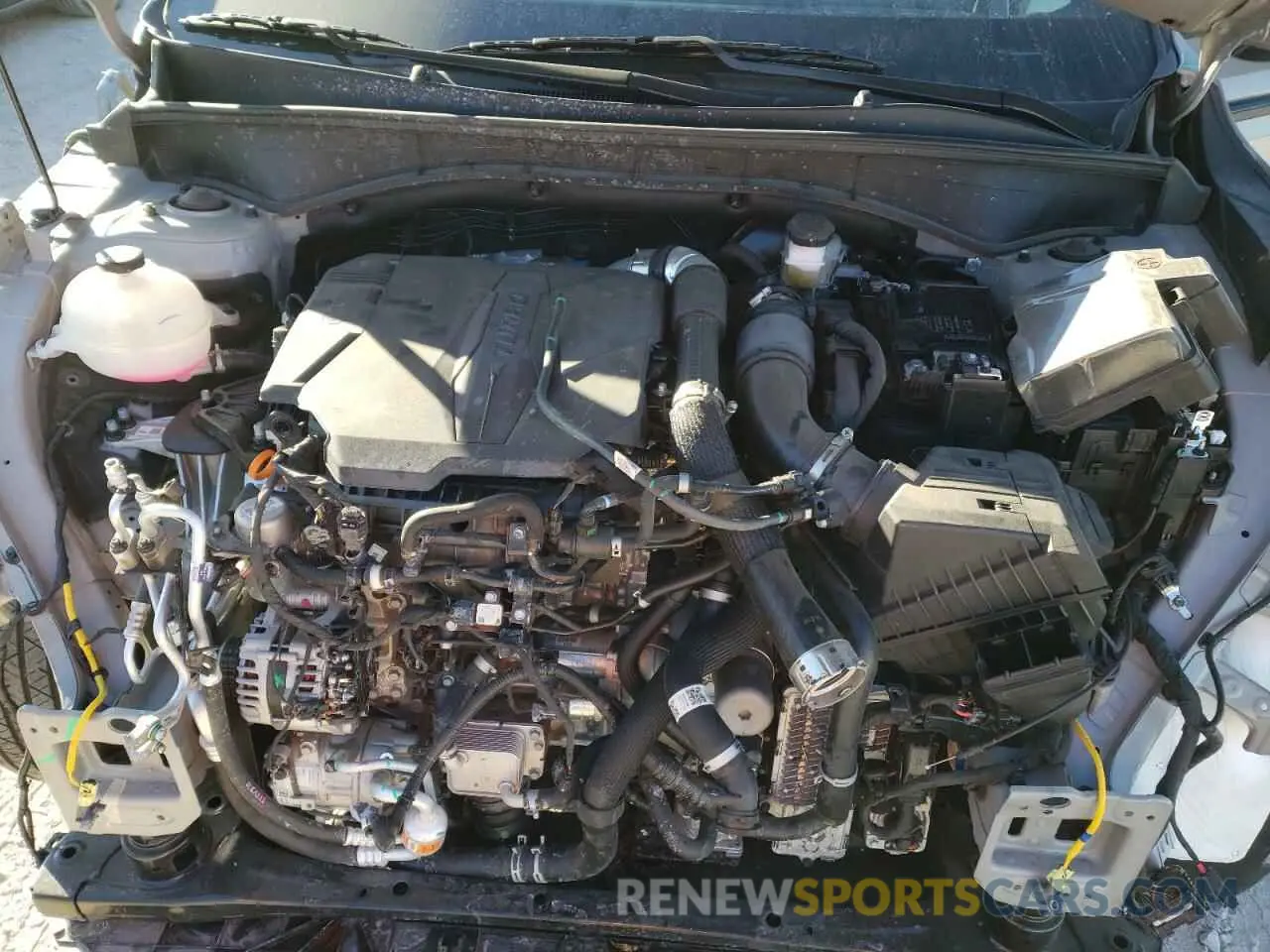 12 Photograph of a damaged car 5XYRKDJF2RG282001 KIA SORENTO 2024