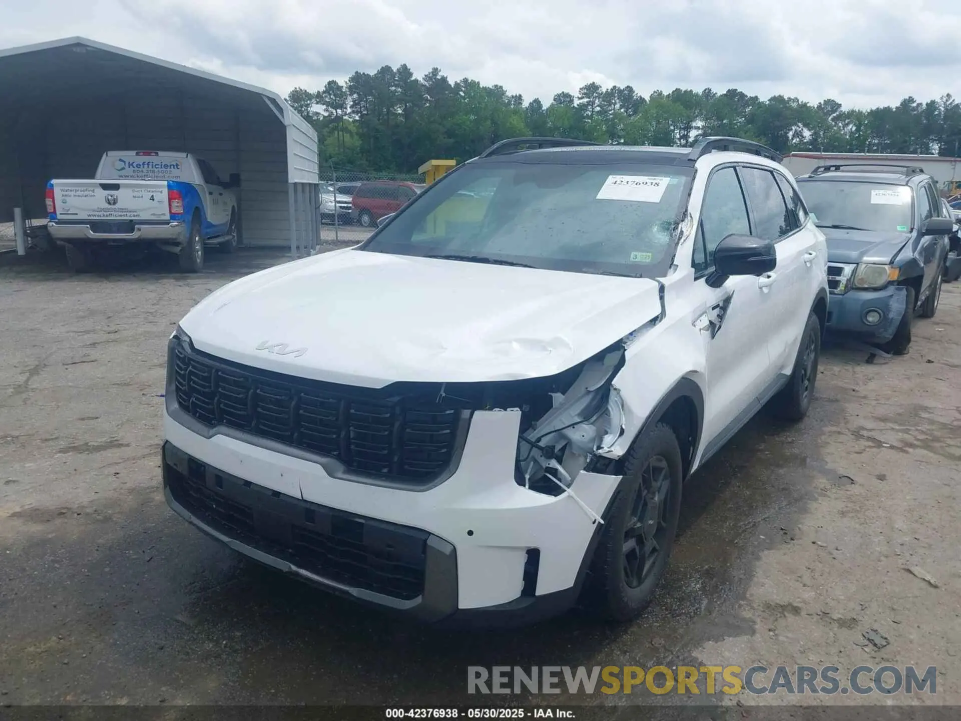 6 Photograph of a damaged car 5XYRKDJF5RG271333 KIA SORENTO 2024