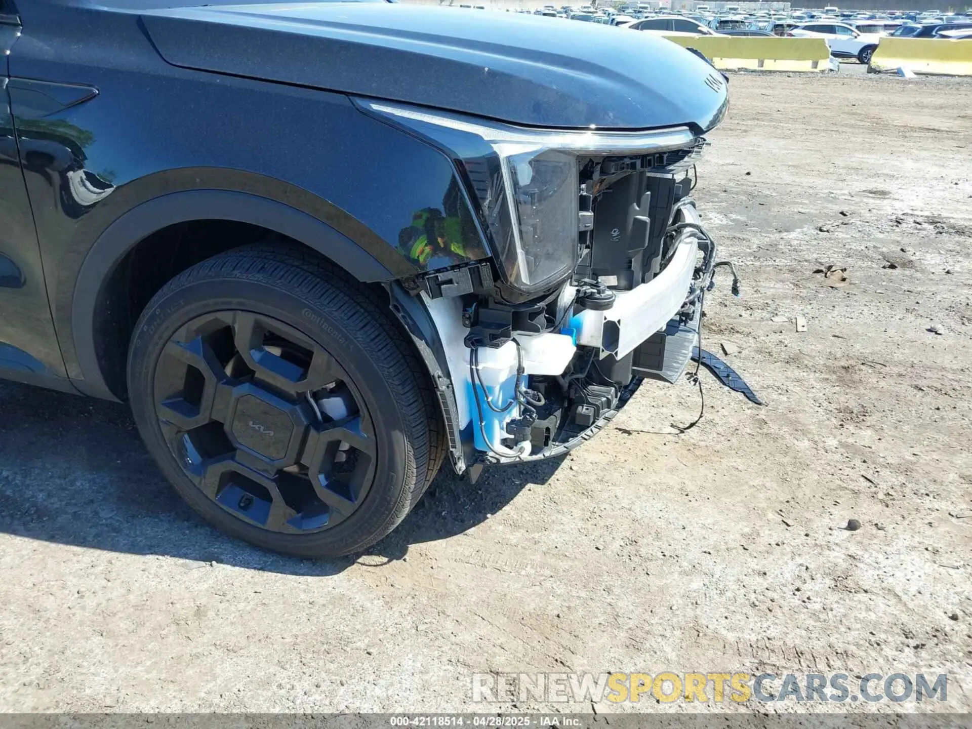 18 Photograph of a damaged car 5XYRKDJF7RG300590 KIA SORENTO 2024