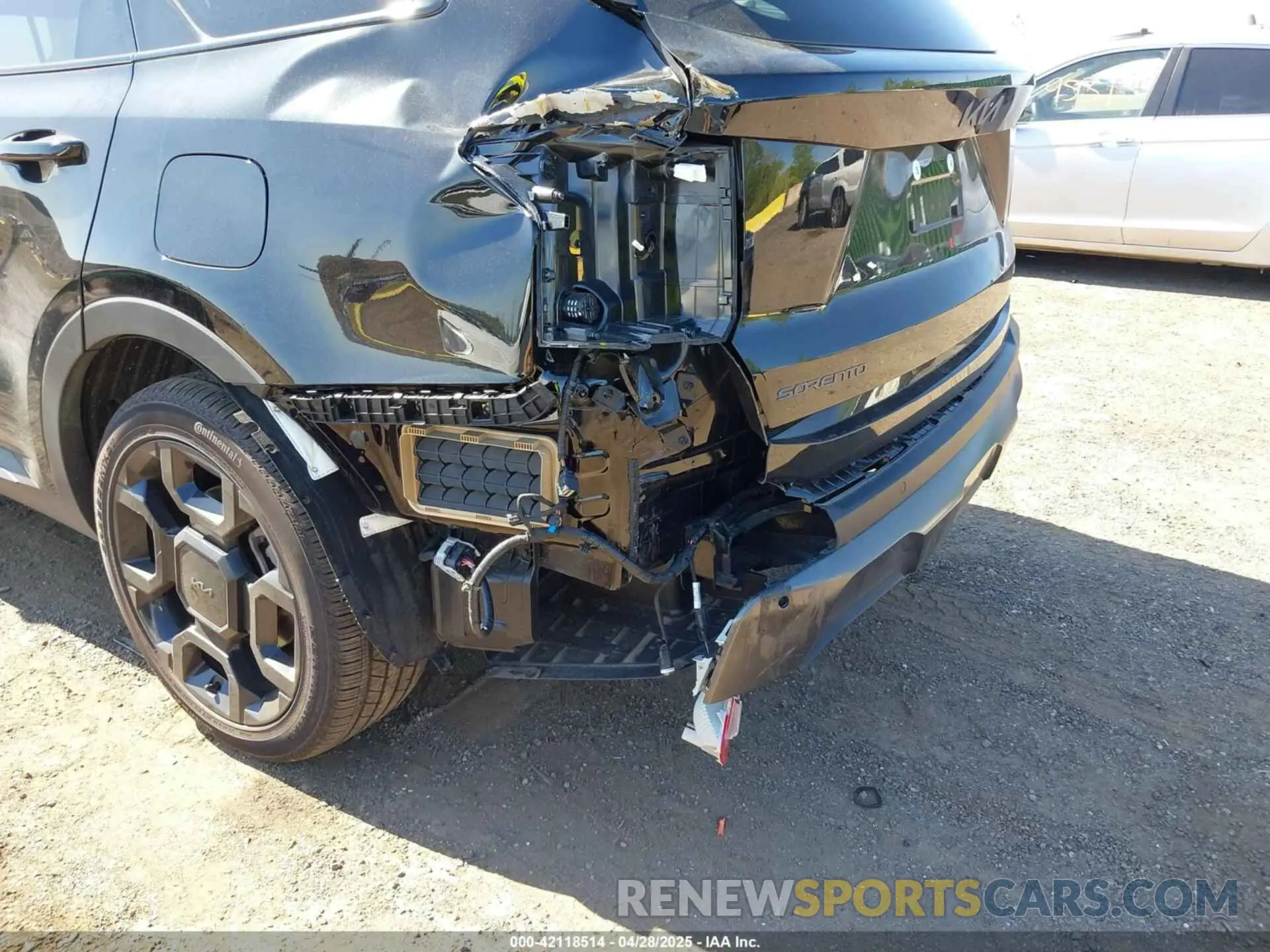 19 Photograph of a damaged car 5XYRKDJF7RG300590 KIA SORENTO 2024
