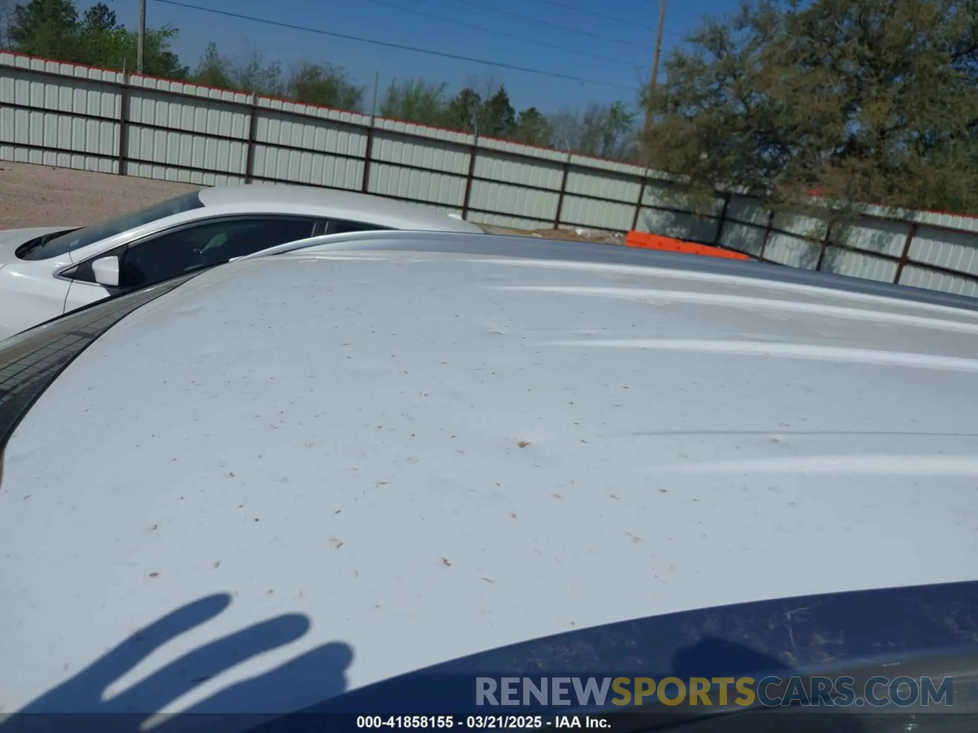 6 Photograph of a damaged car 5XYRLDJC3RG283404 KIA SORENTO 2024