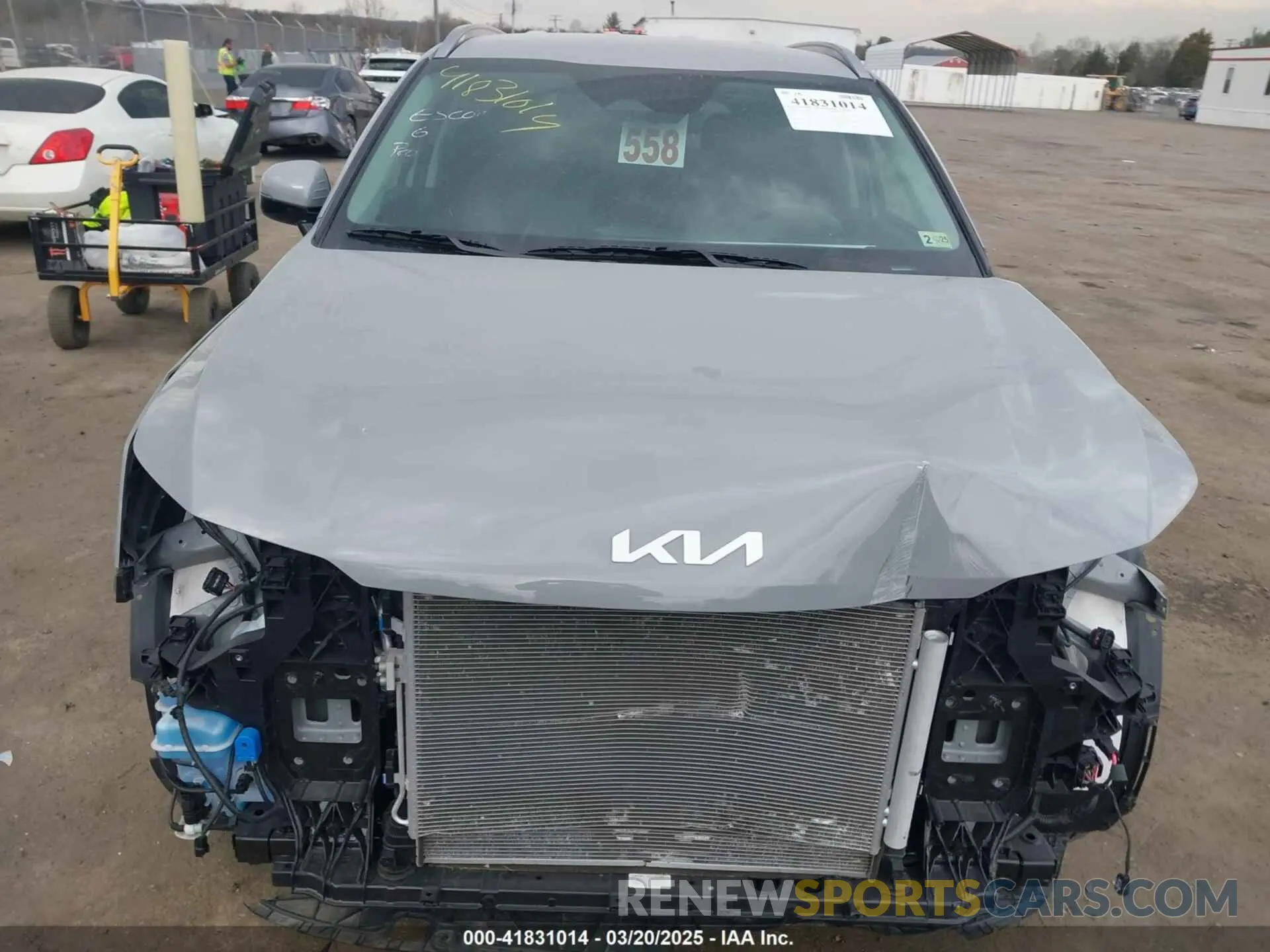 12 Photograph of a damaged car 5XYRLDJC9RG258376 KIA SORENTO 2024