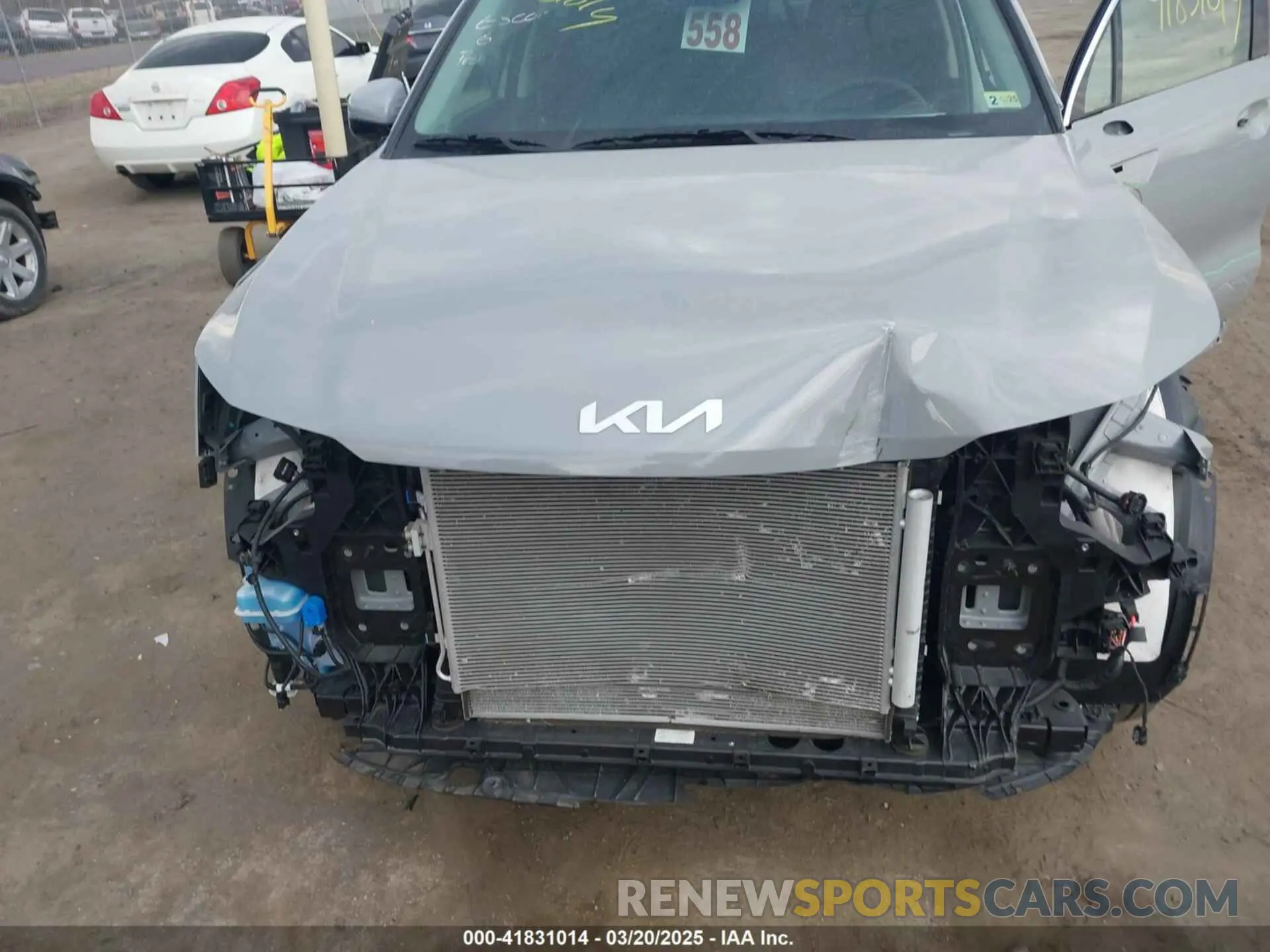 6 Photograph of a damaged car 5XYRLDJC9RG258376 KIA SORENTO 2024