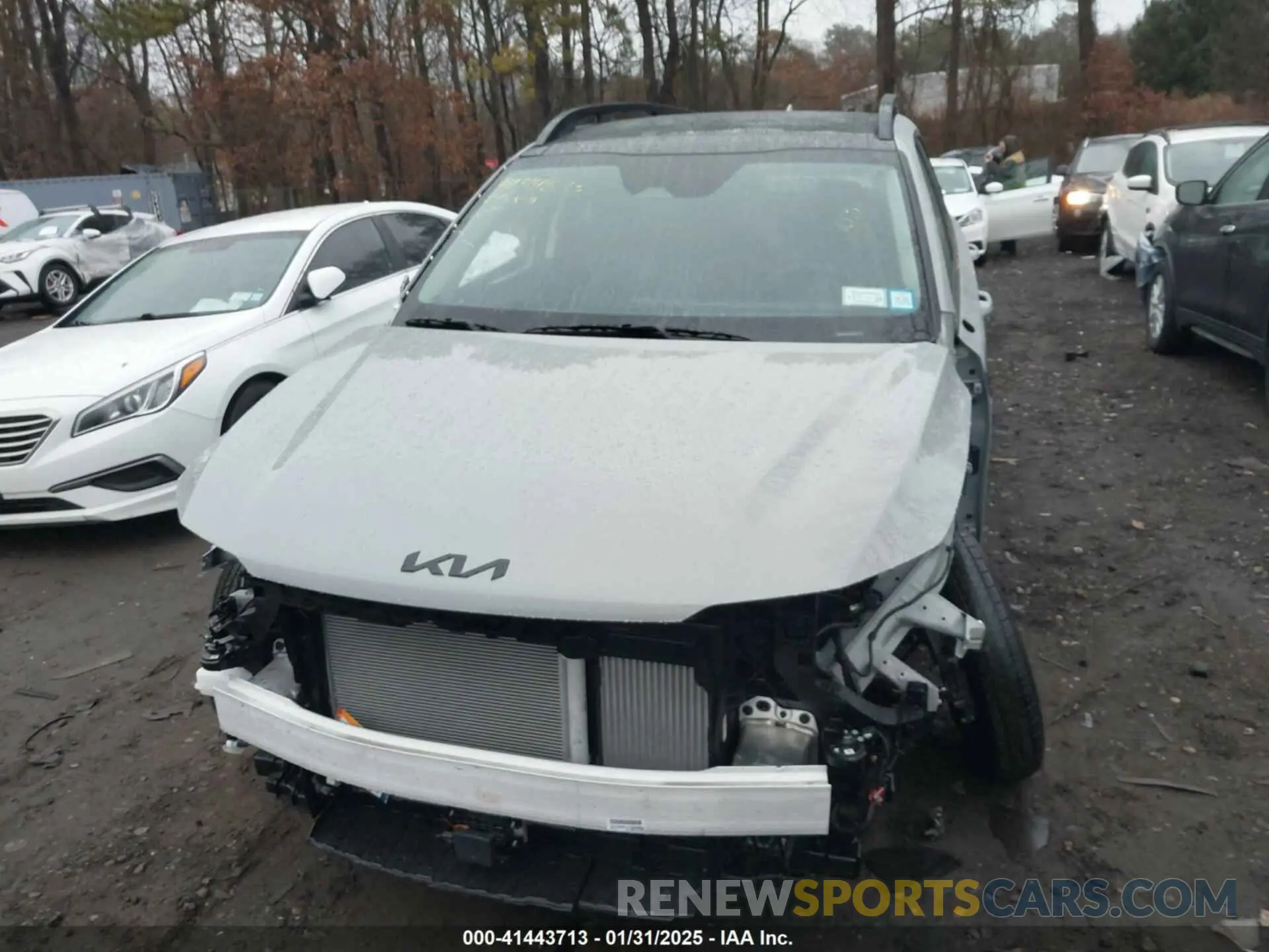 12 Photograph of a damaged car 5XYRHDJF6SG315229 KIA SORENTO 2025