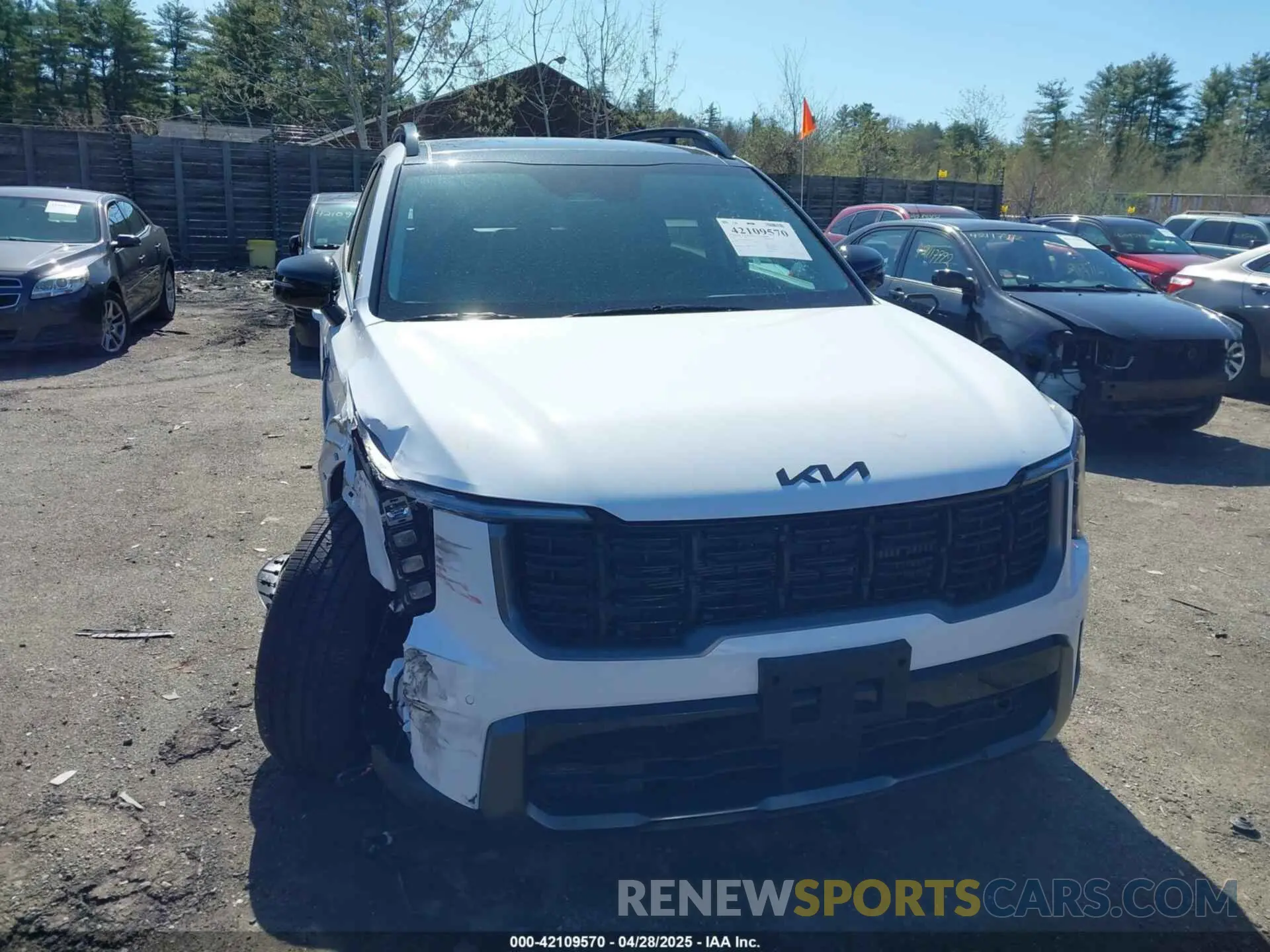 12 Photograph of a damaged car 5XYRKDJF0SG377999 KIA SORENTO 2025