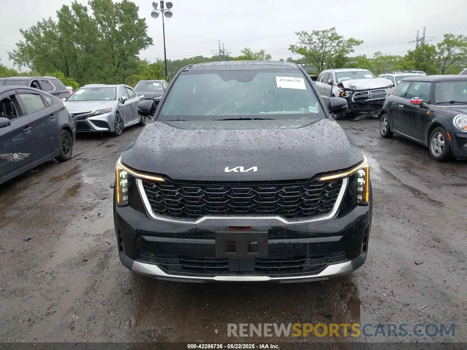 12 Photograph of a damaged car 5XYRLDJC6SG328292 KIA SORENTO 2025