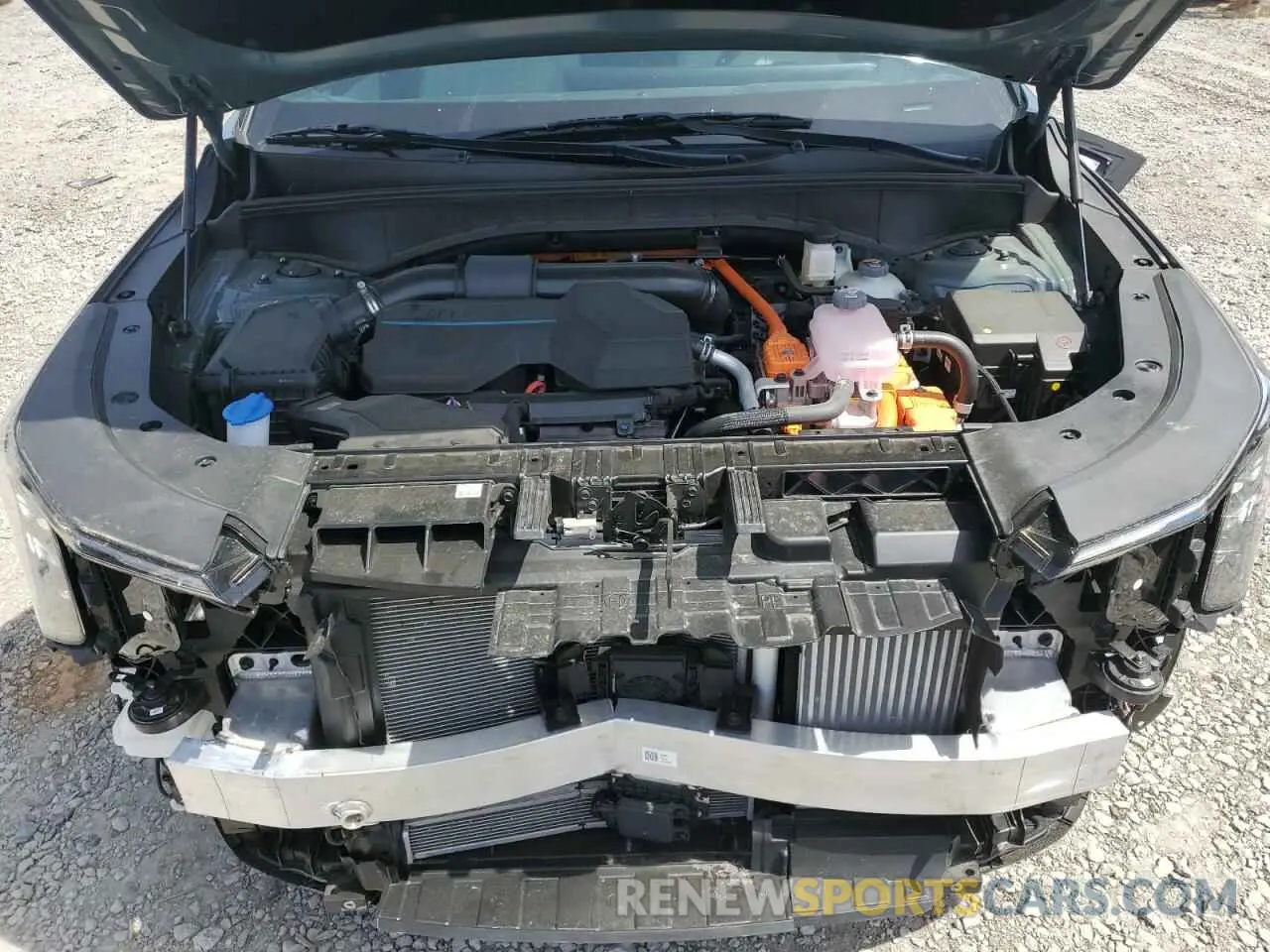 12 Photograph of a damaged car KNDRKDJG6S5323043 KIA SORENTO 2025