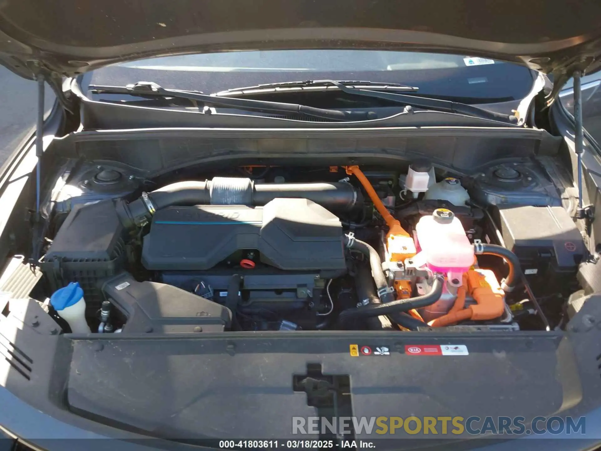 10 Photograph of a damaged car KNDRG4LG7M5038420 KIA SORENTO HYBRID 2021