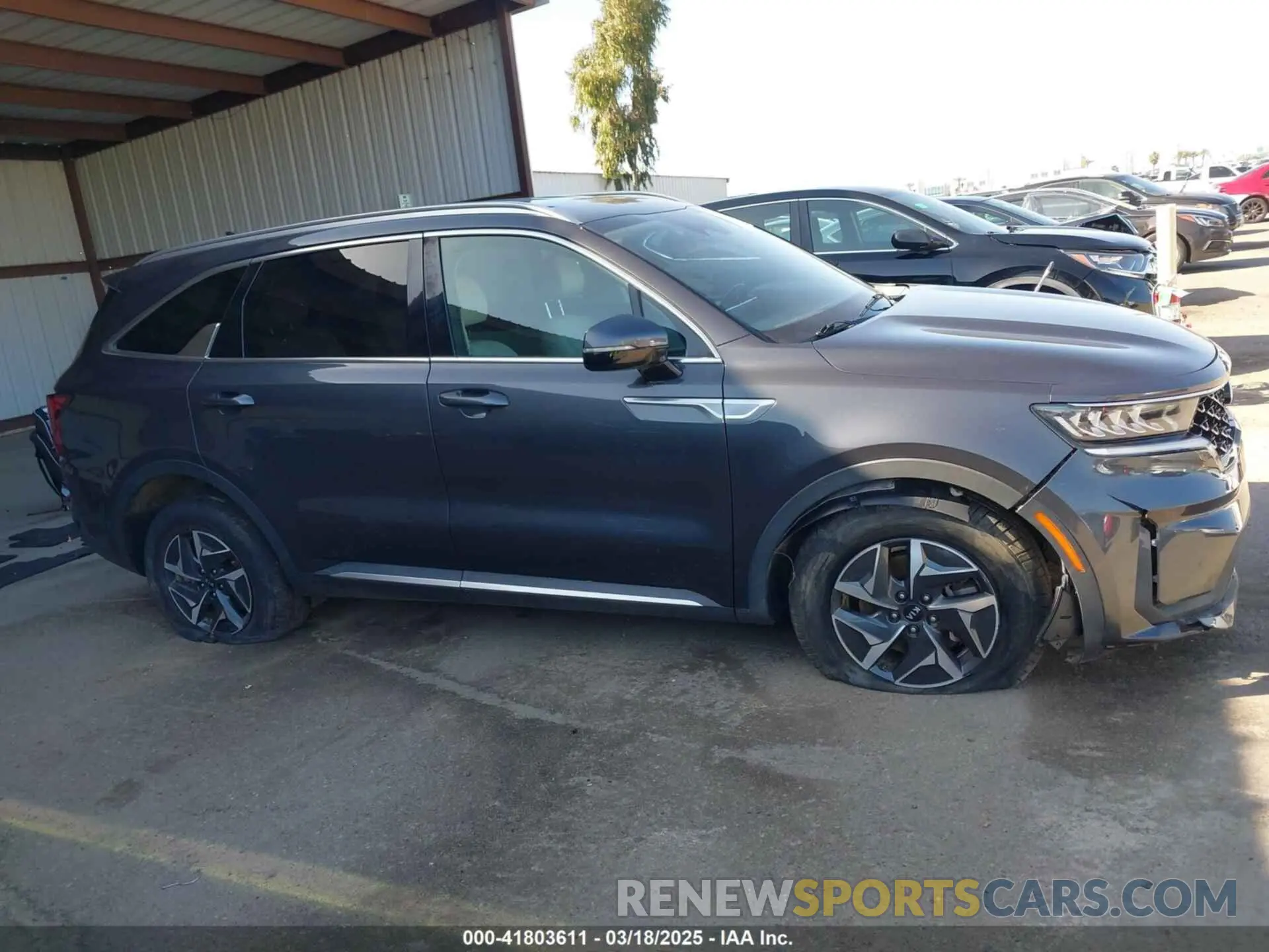 12 Photograph of a damaged car KNDRG4LG7M5038420 KIA SORENTO HYBRID 2021