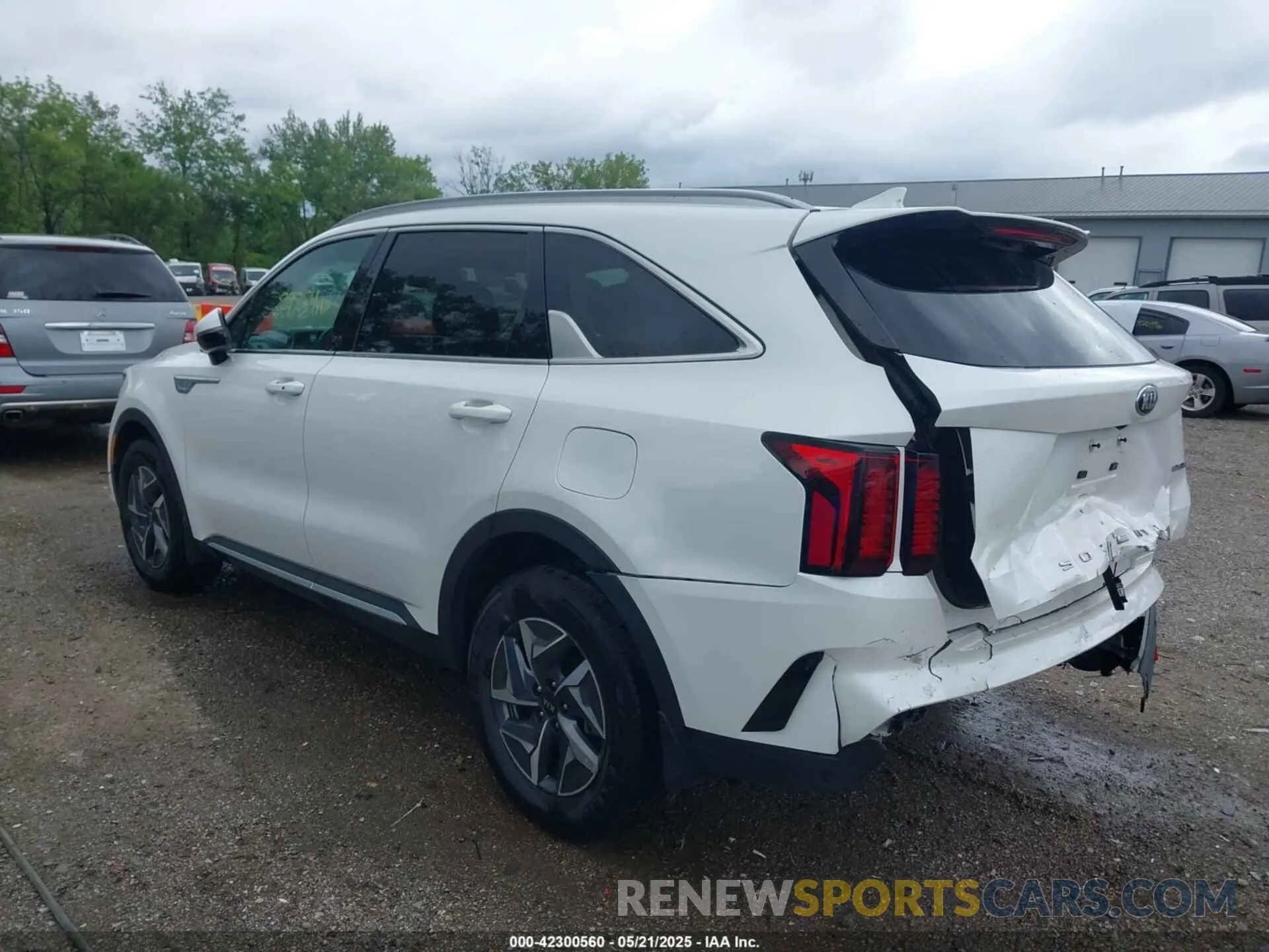 6 Photograph of a damaged car KNDRH4LG8M5035166 KIA SORENTO HYBRID 2021