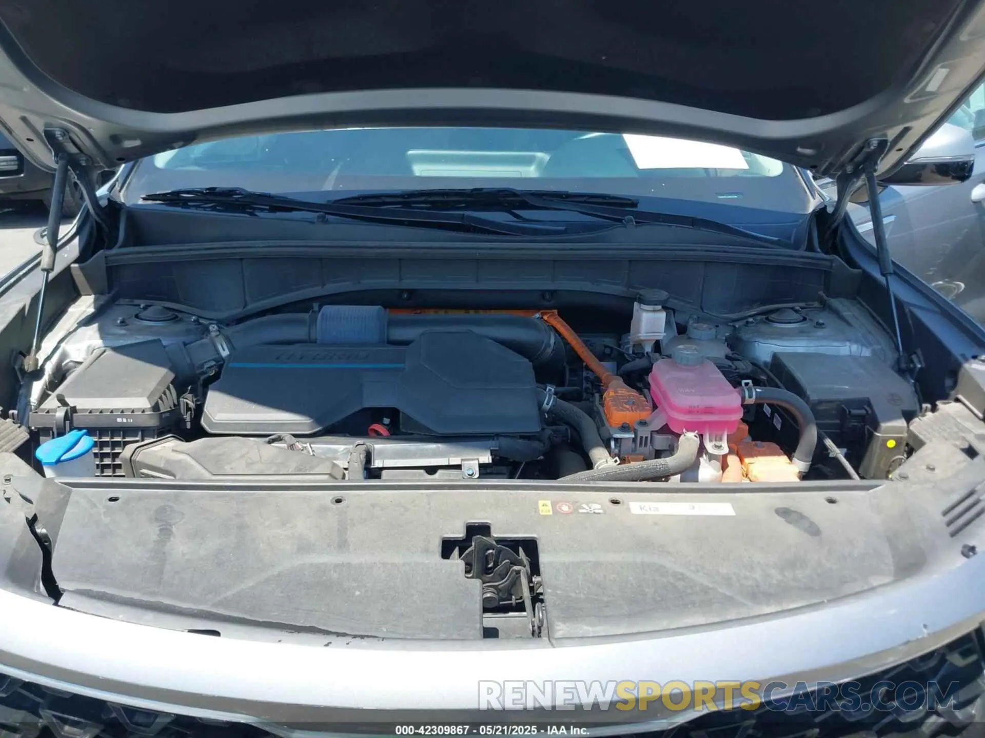 10 Photograph of a damaged car KNDRHDLG3N5117016 KIA SORENTO HYBRID 2022