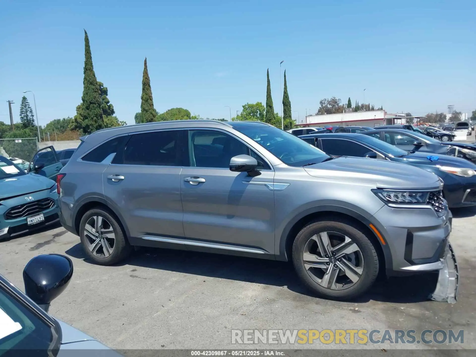 13 Photograph of a damaged car KNDRHDLG3N5117016 KIA SORENTO HYBRID 2022