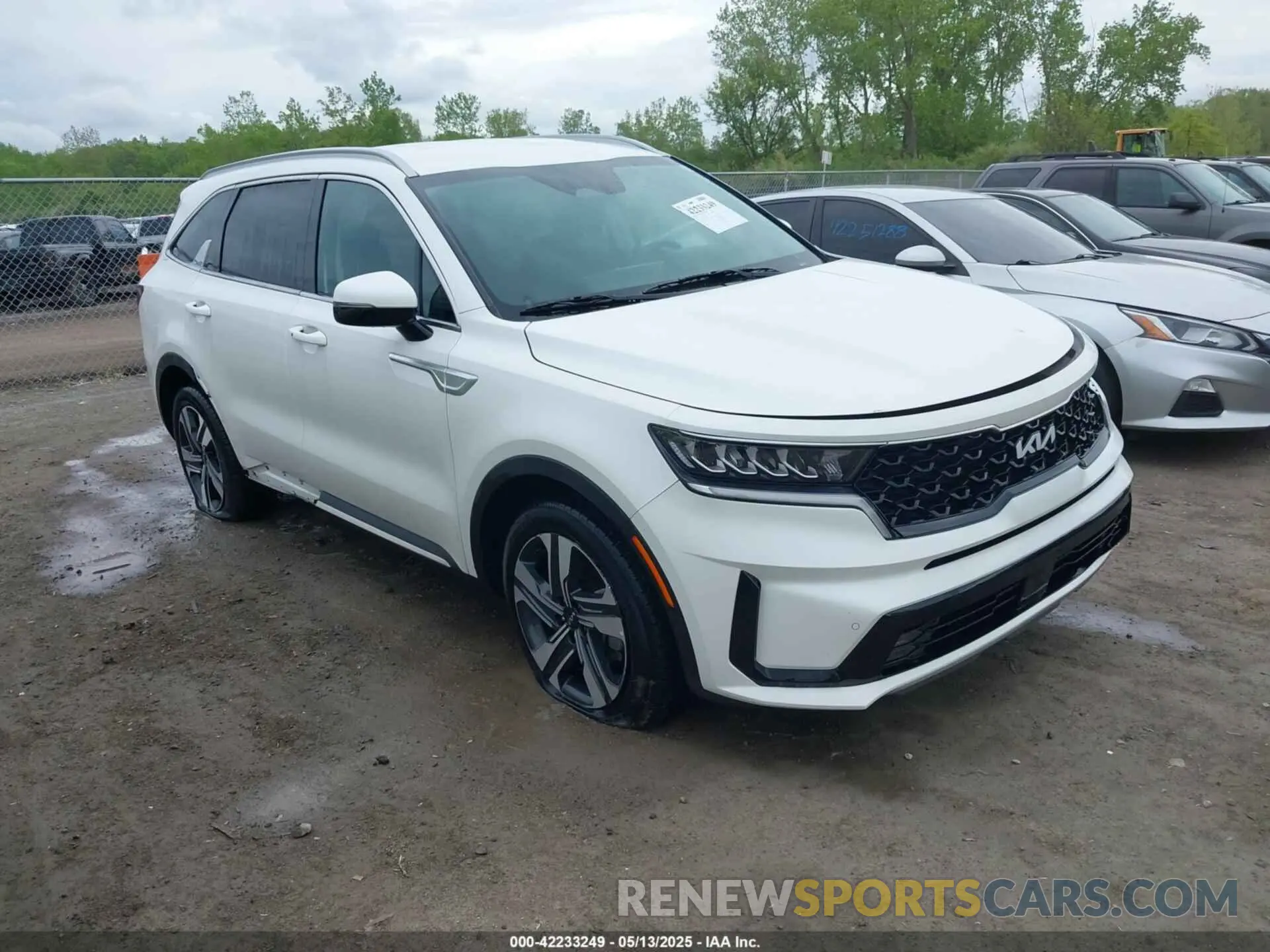 1 Photograph of a damaged car KNDRHDLG5P5225026 KIA SORENTO HYBRID 2023