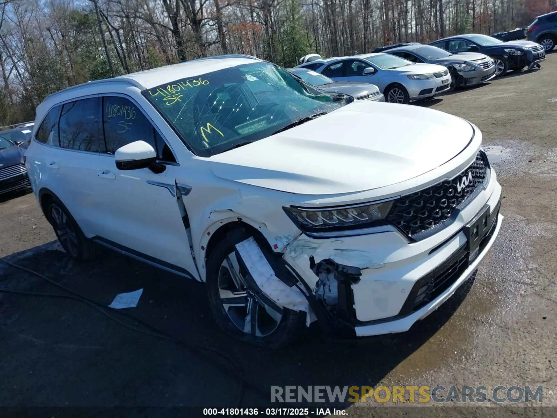 1 Photograph of a damaged car KNDRHDLG5R5259177 KIA SORENTO HYBRID 2024