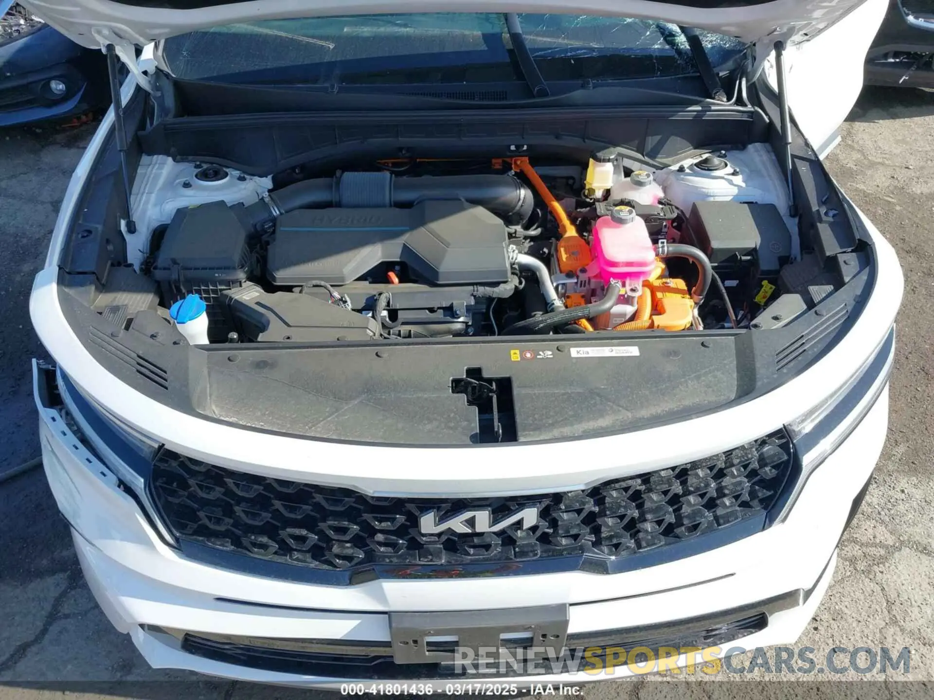 10 Photograph of a damaged car KNDRHDLG5R5259177 KIA SORENTO HYBRID 2024
