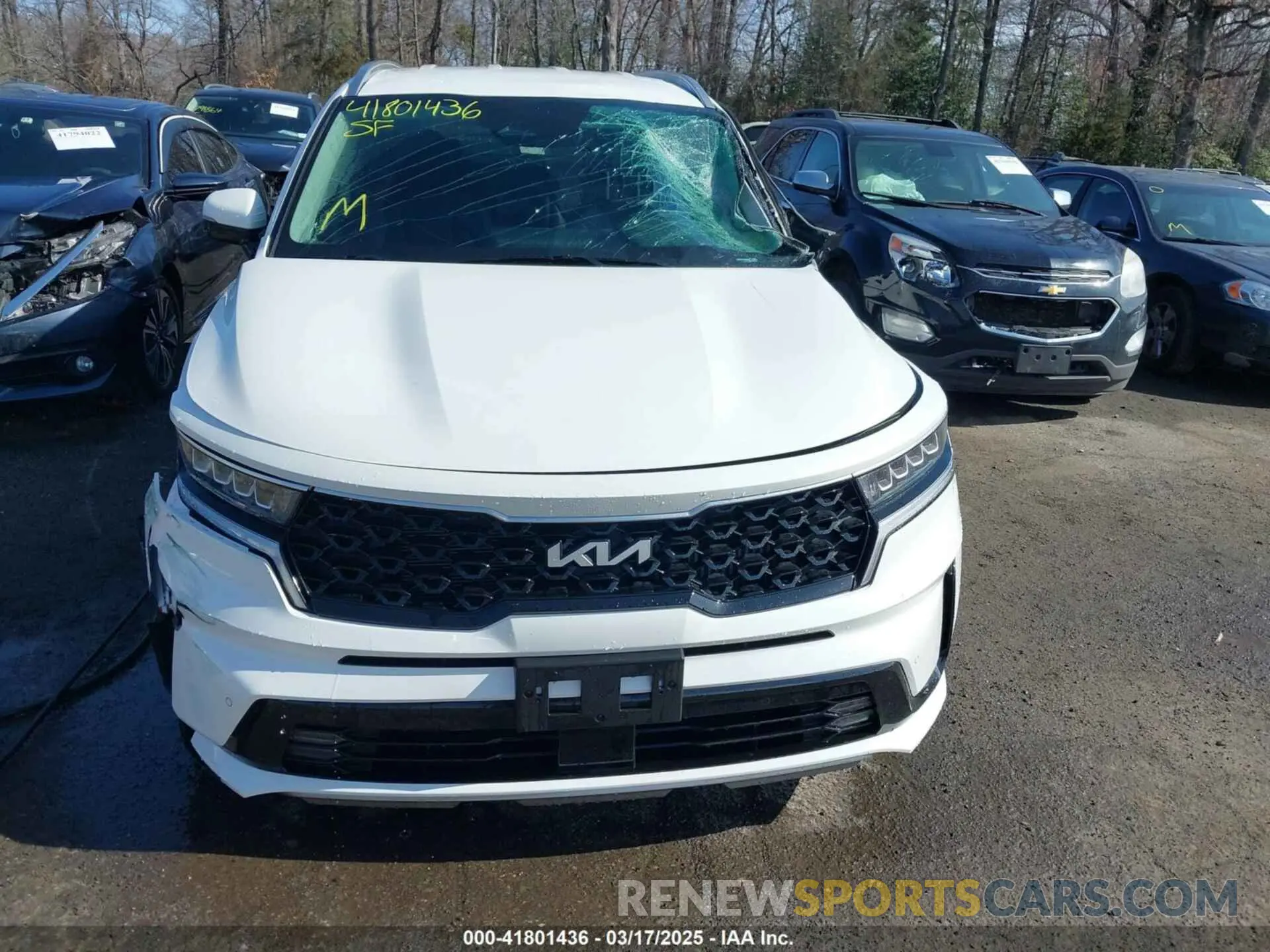 12 Photograph of a damaged car KNDRHDLG5R5259177 KIA SORENTO HYBRID 2024