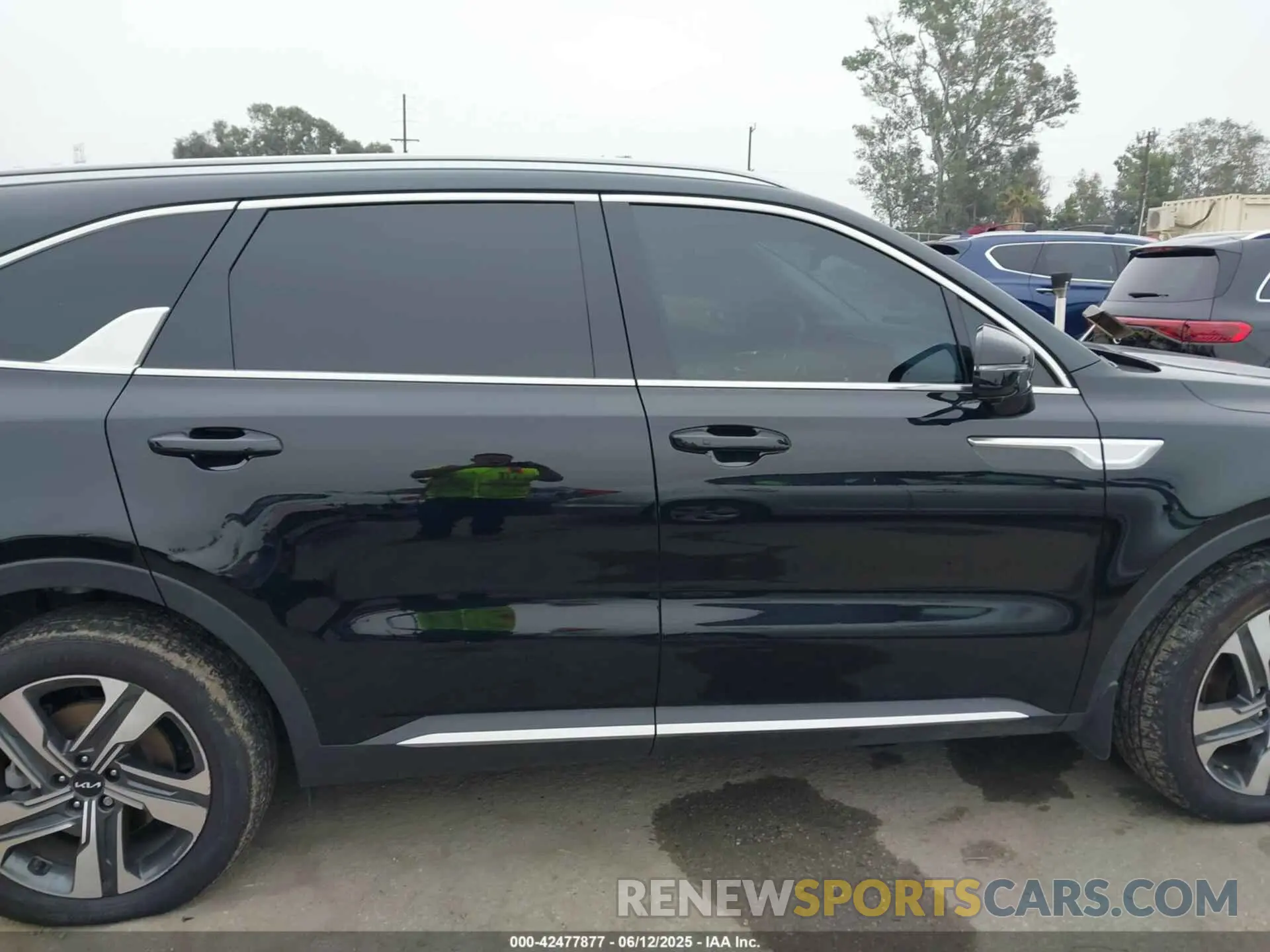 14 Photograph of a damaged car KNDRKDLGXR5247947 KIA SORENTO HYBRID 2024