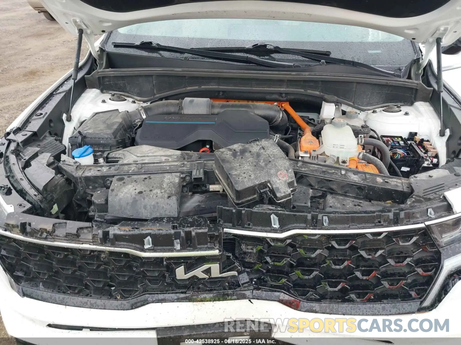 10 Photograph of a damaged car KNDRJDLH6N5114544 KIA SORENTO PLUG-IN HYBRID 2022
