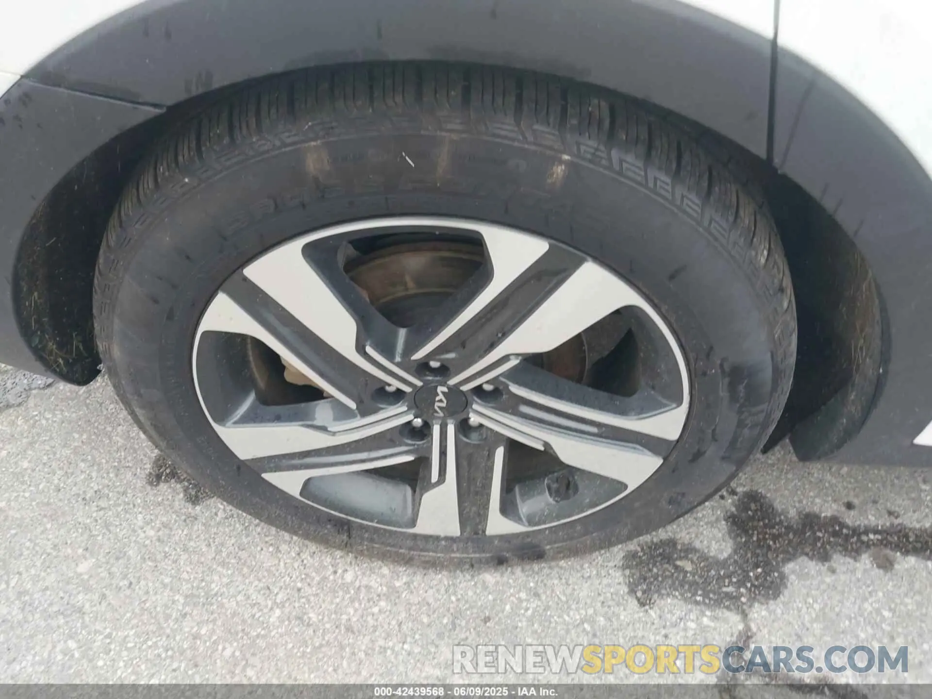 12 Photograph of a damaged car KNDRMDLH9R5235792 KIA SORENTO PLUG-IN HYBRID 2024